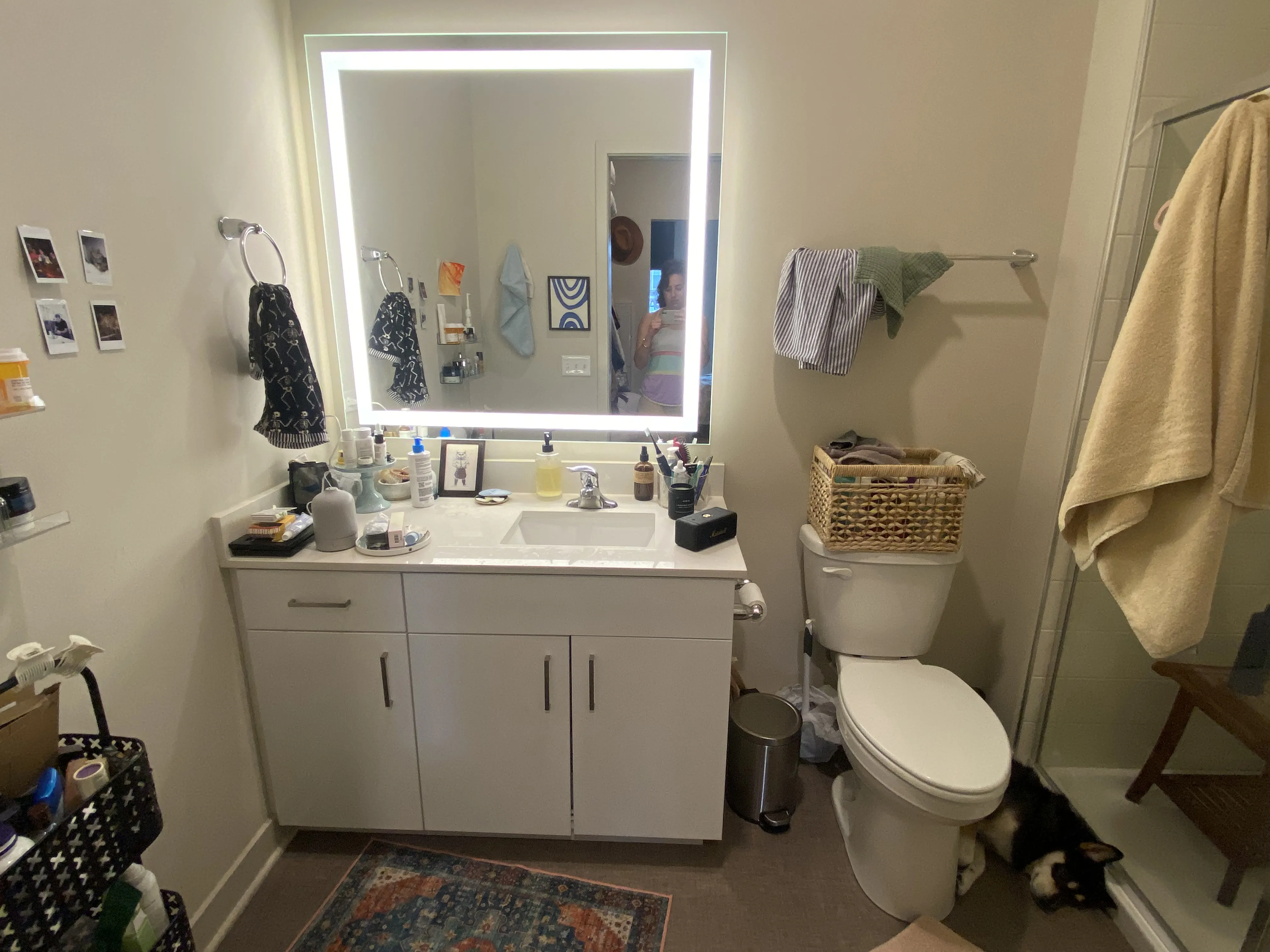 818 N Wolcott Ave   60622 60622-Chicago-IL