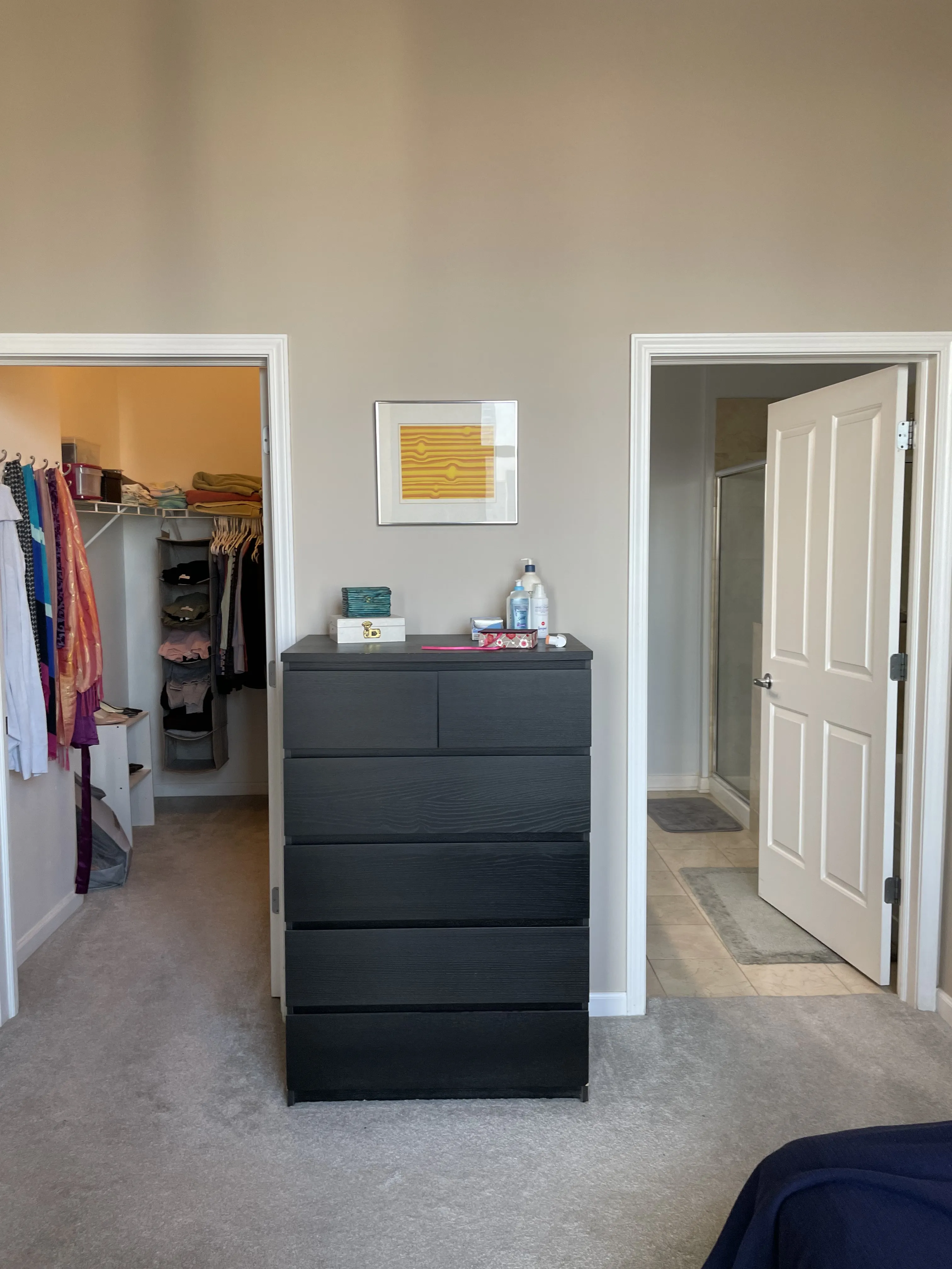 1464 S MICHIGAN AVE 60605-unit#1805-Chicago-IL