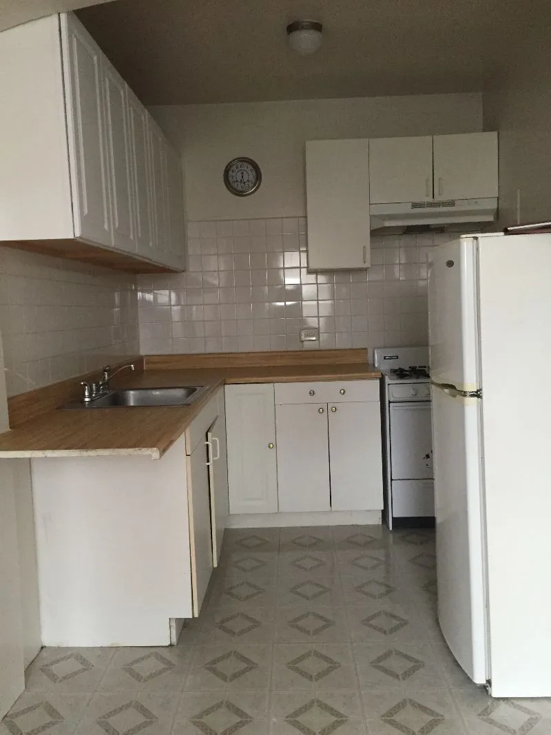 4606 N Hermitage Ave   60640 60640-unit#301-Chicago-IL