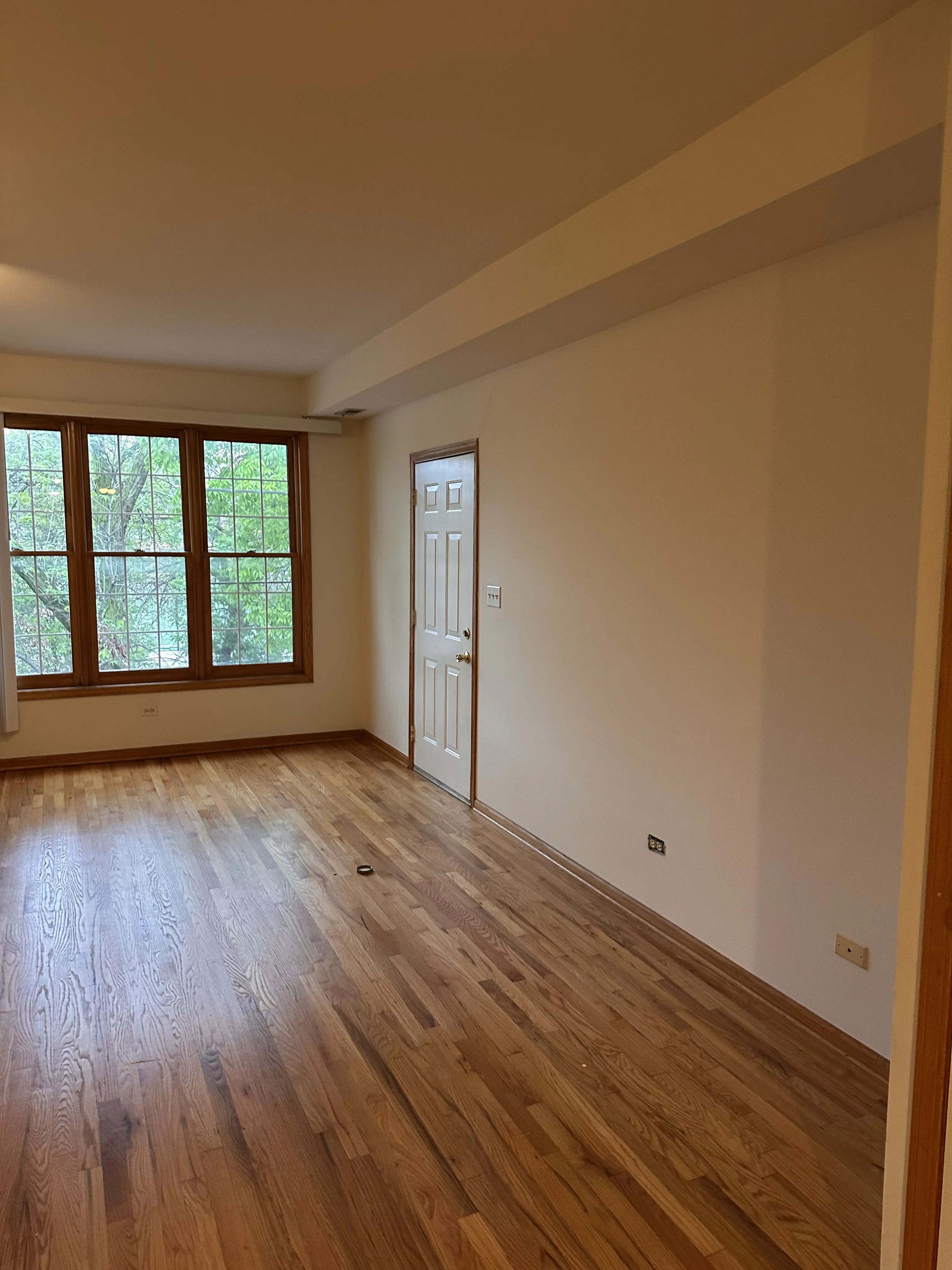 916 N Paulina St   60622 60622-unit#2-Chicago-IL