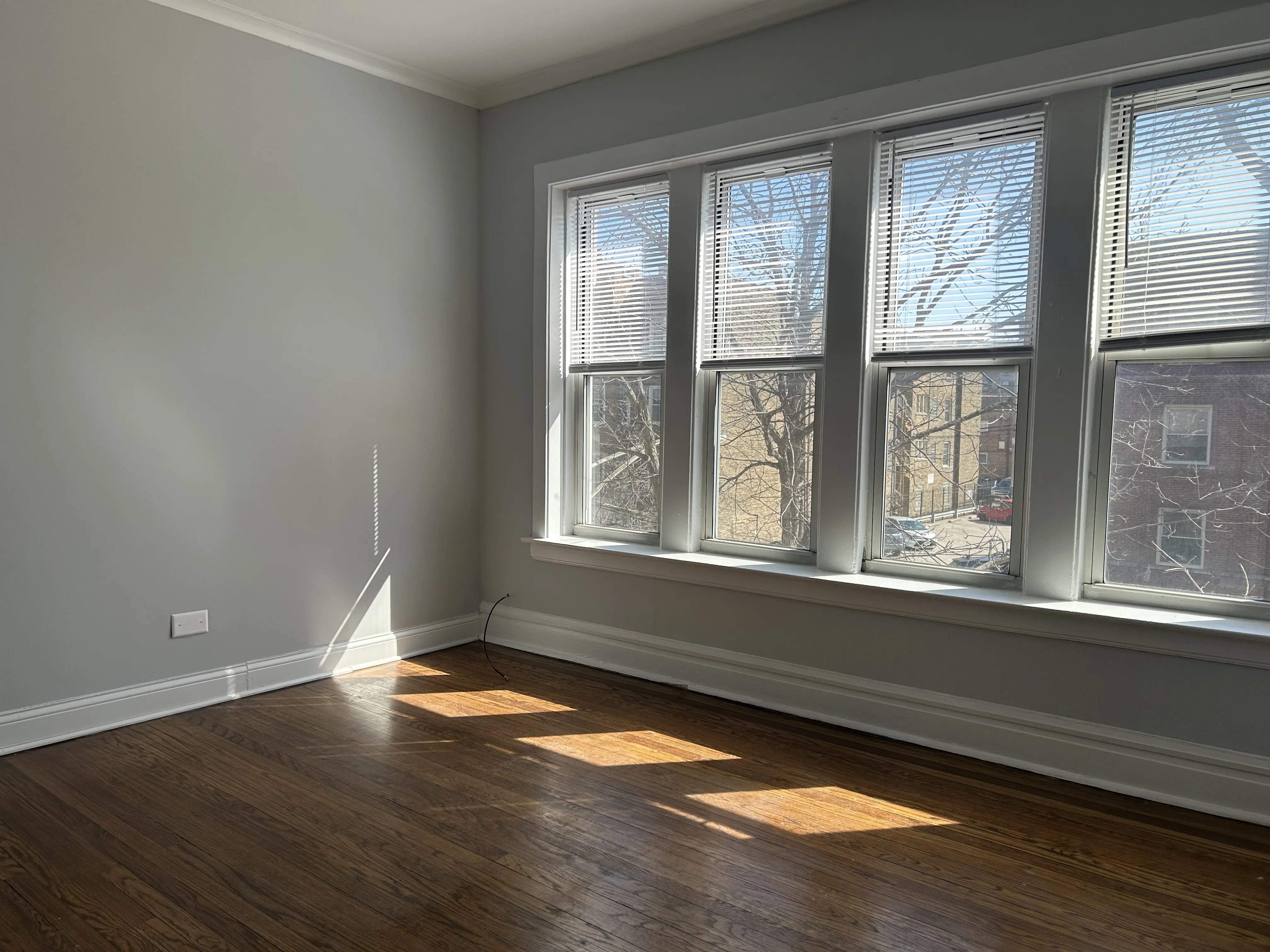 7441 N PAULINA ST 60626-unit#2-Chicago-IL