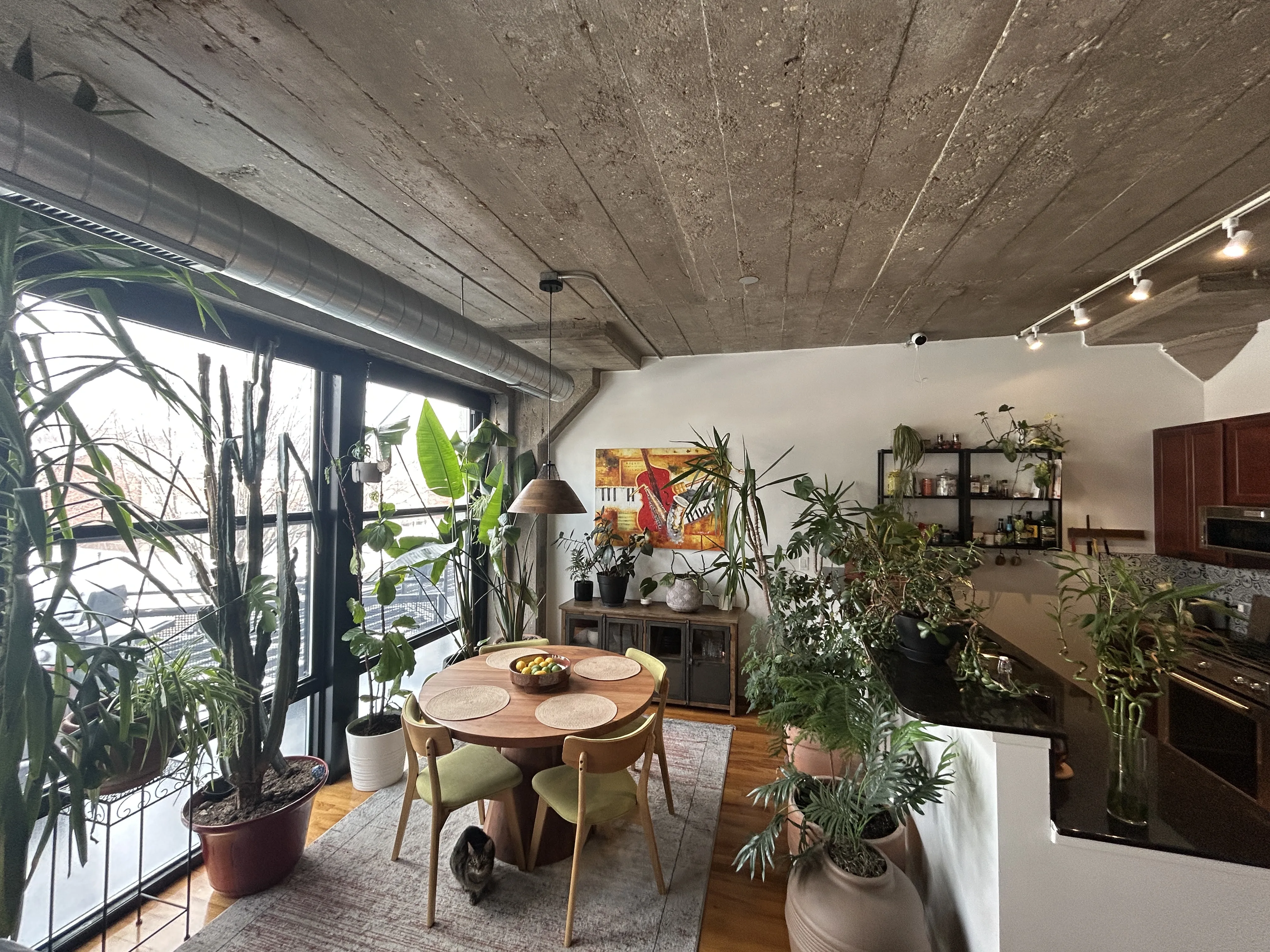 1033 W 14th Pl 60608 60608-University Commons-unit#222-Chicago-IL