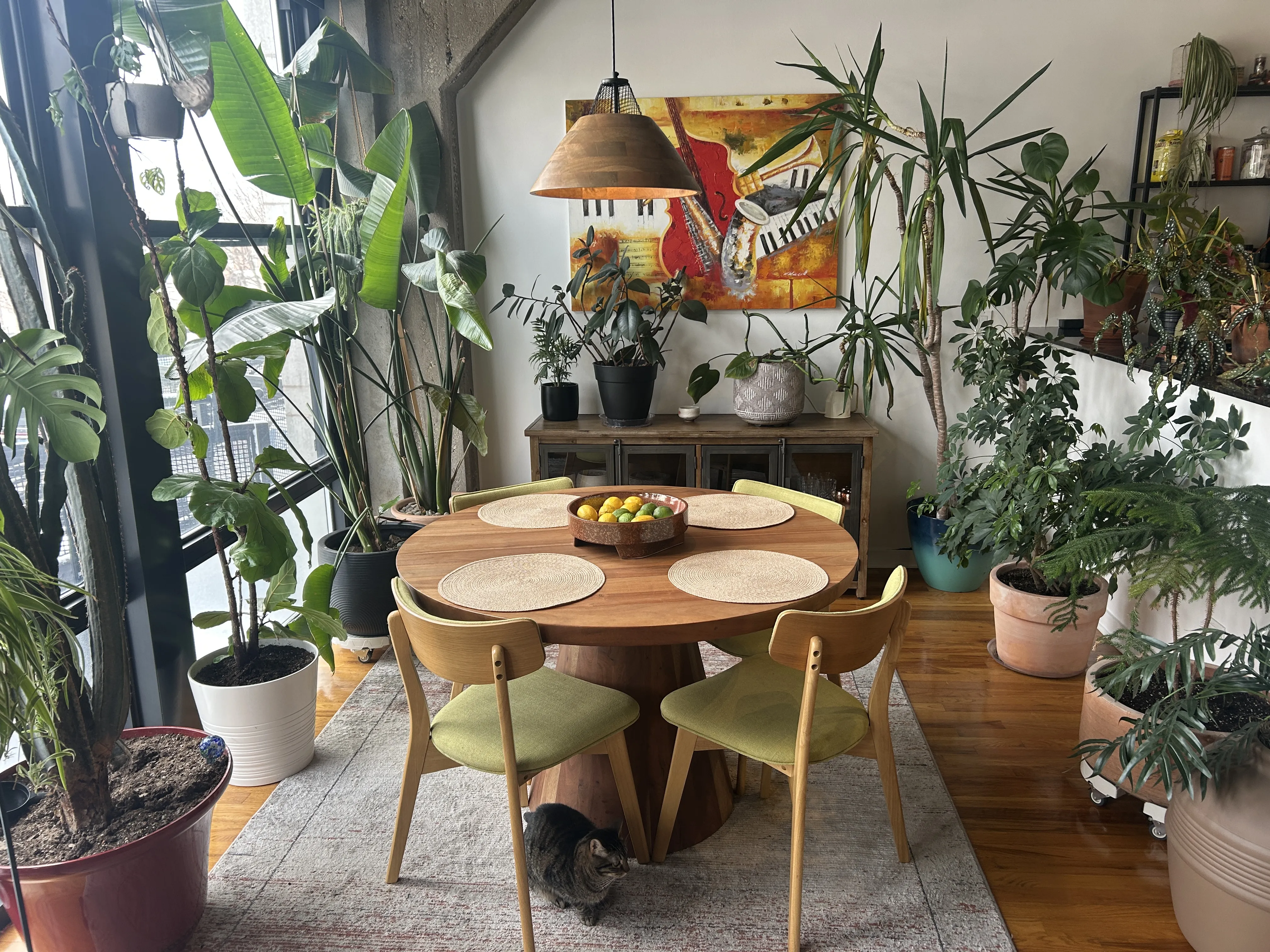 1033 W 14th Pl   60608 60608-University Commons-unit#222-Chicago-IL