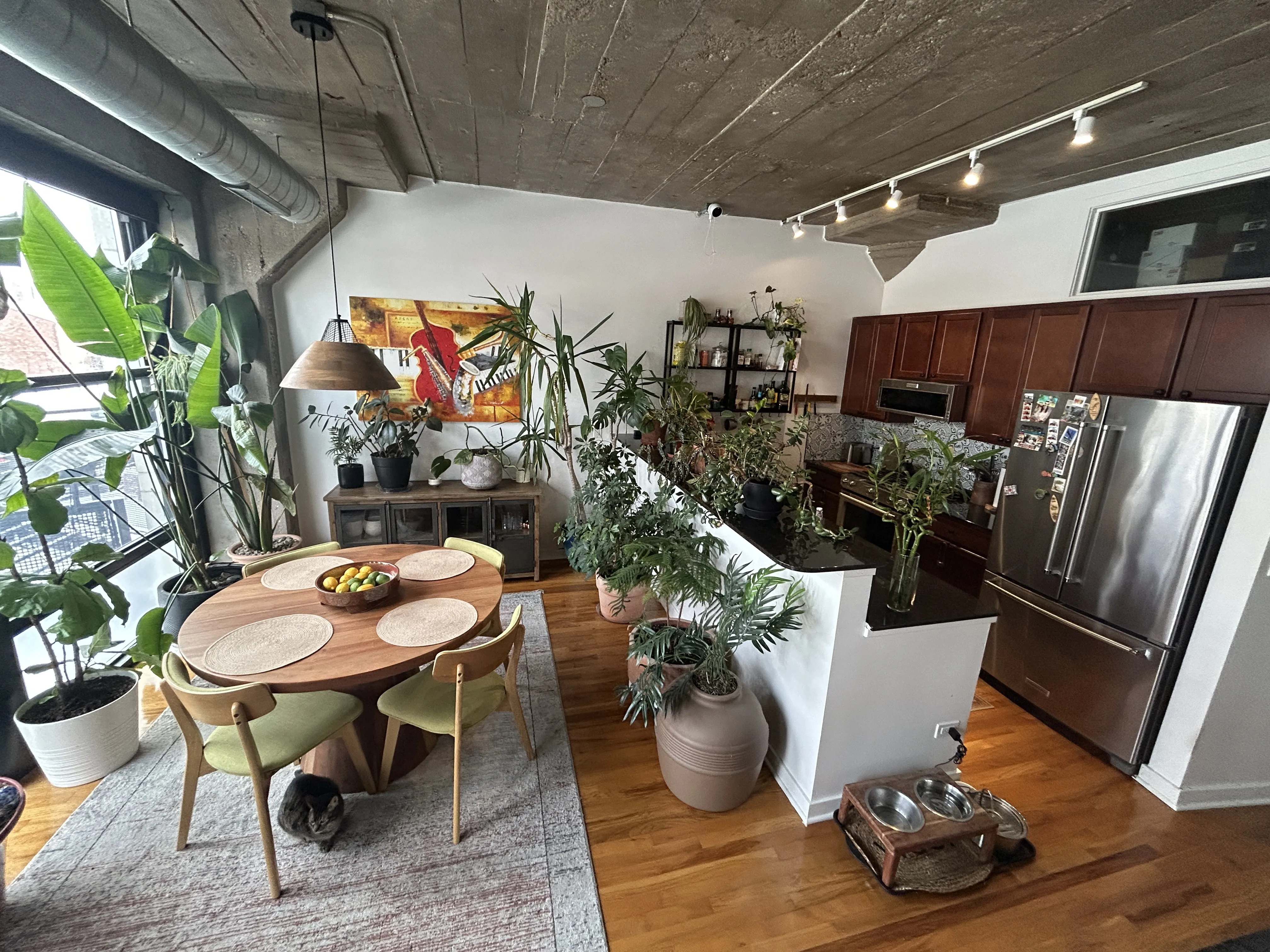 1033 W 14th Pl   60608 60608-University Commons-unit#222-Chicago-IL