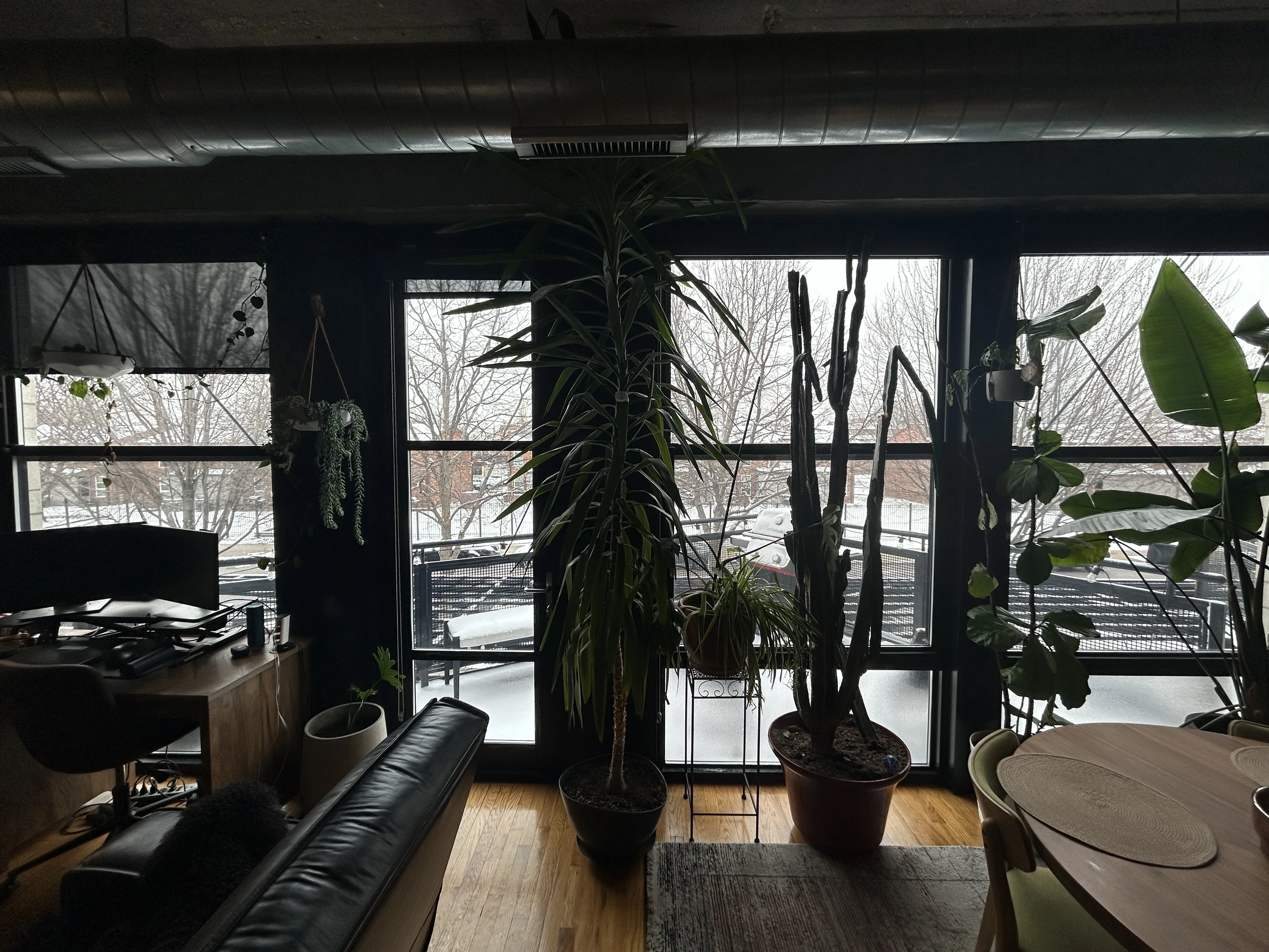 1033 W 14th Pl   60608 60608-University Commons-unit#222-Chicago-IL