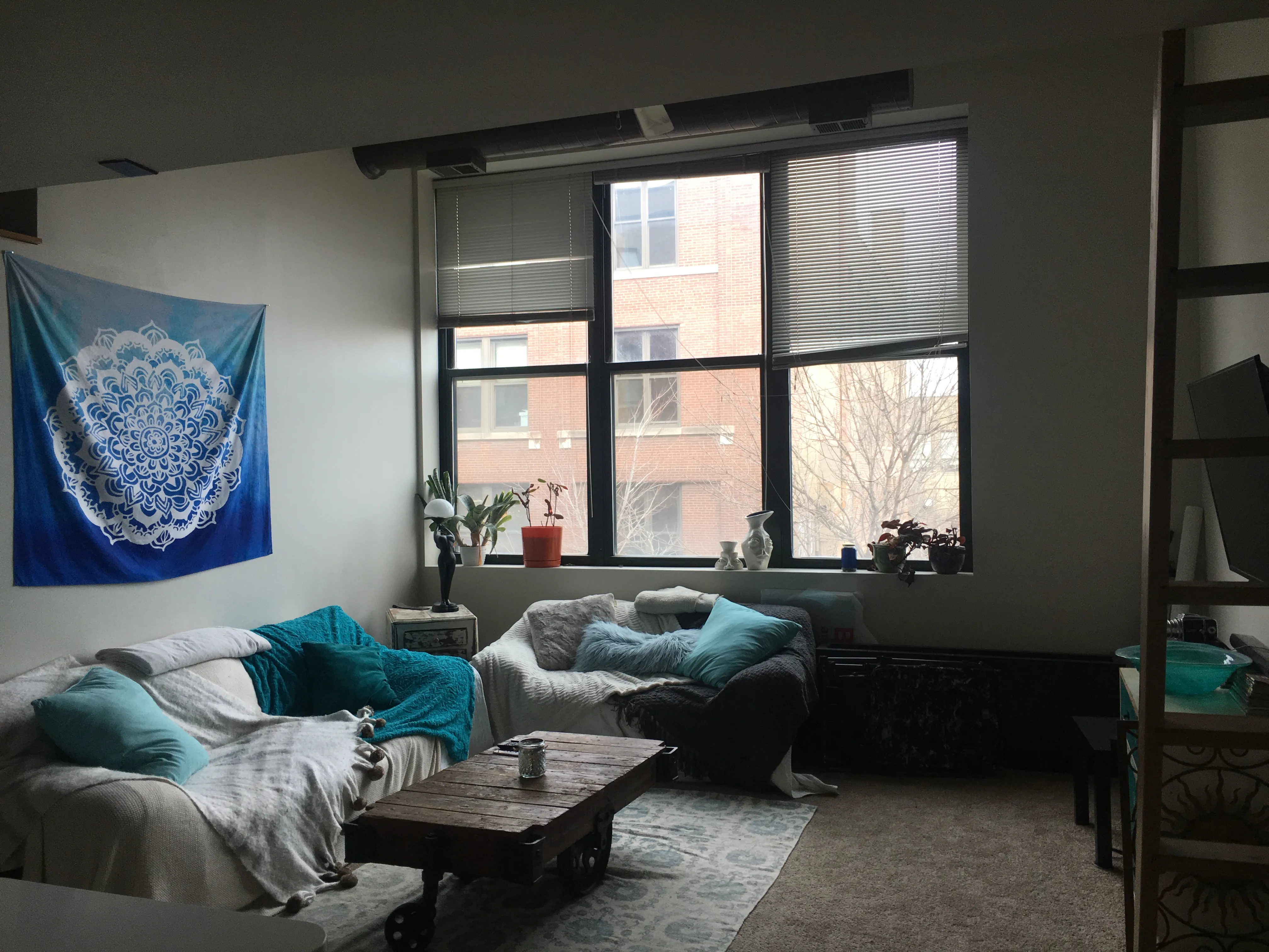 999 W Wolfram St   60657 60657-Sheffield Lofts-unit#311-Chicago-IL