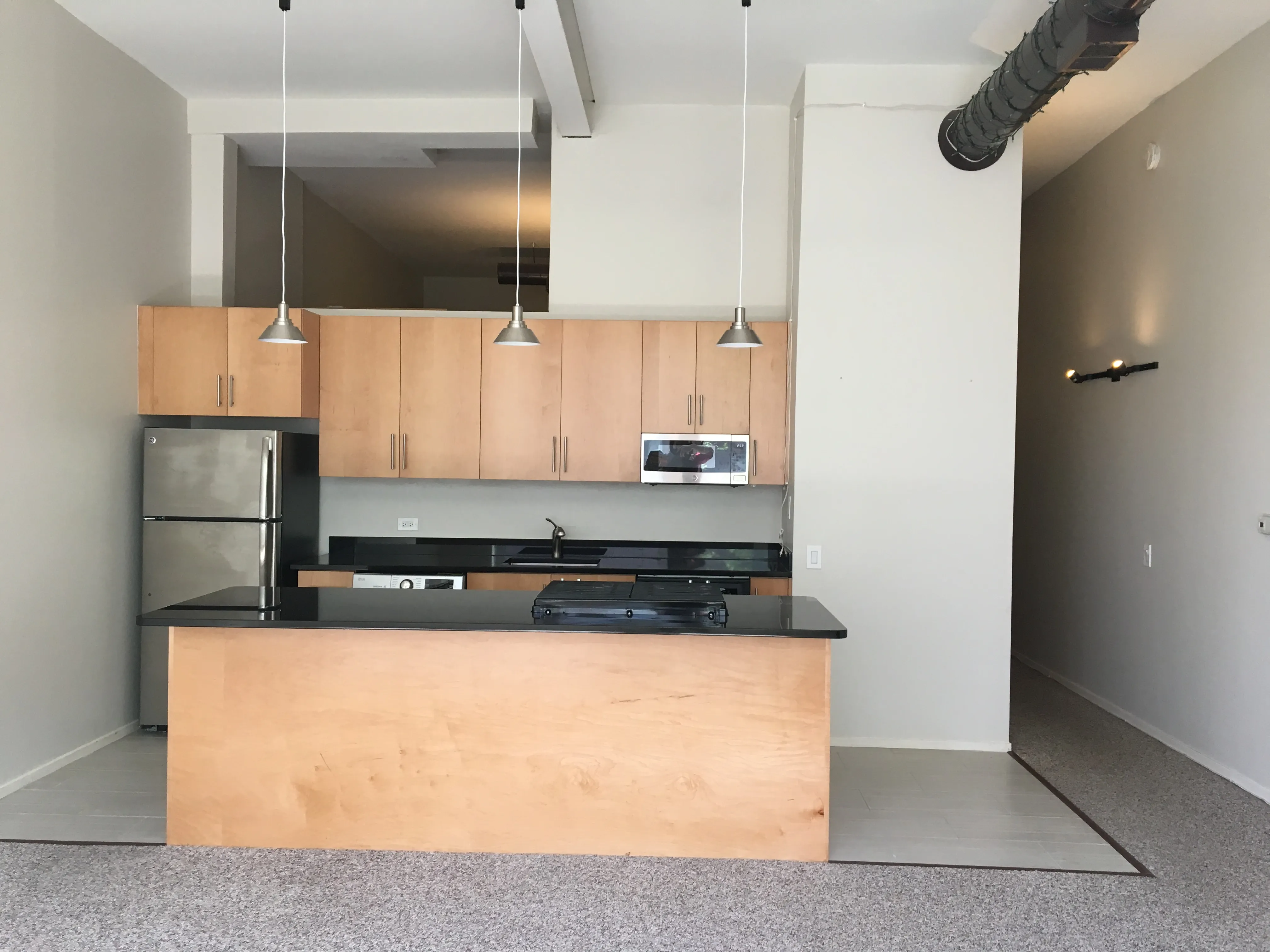 3159 N Seminary Ave 60657 60657-Seminary Lofts-unit#207-Chicago-IL