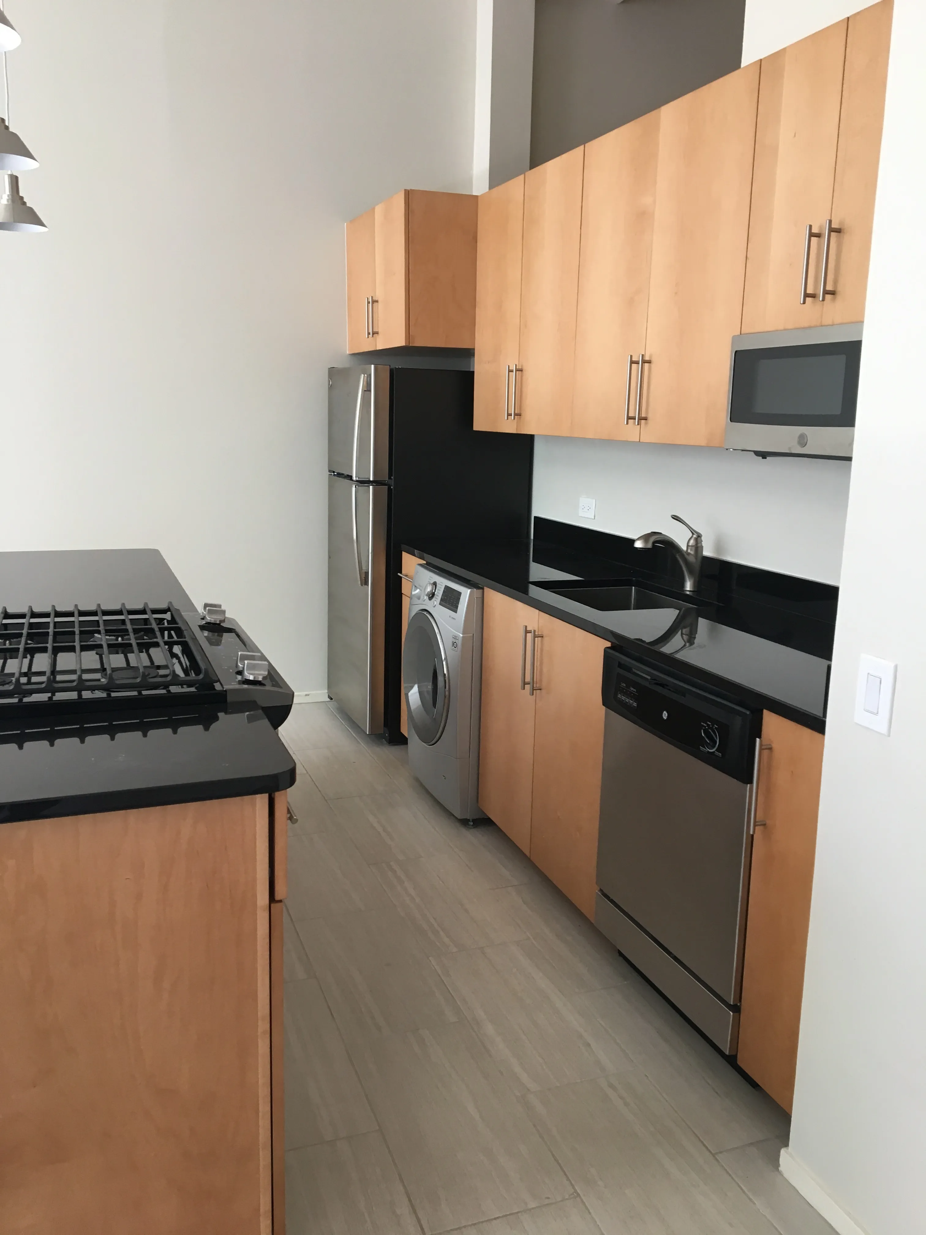 3159 N Seminary Ave 60657 60657-Seminary Lofts-unit#207-Chicago-IL