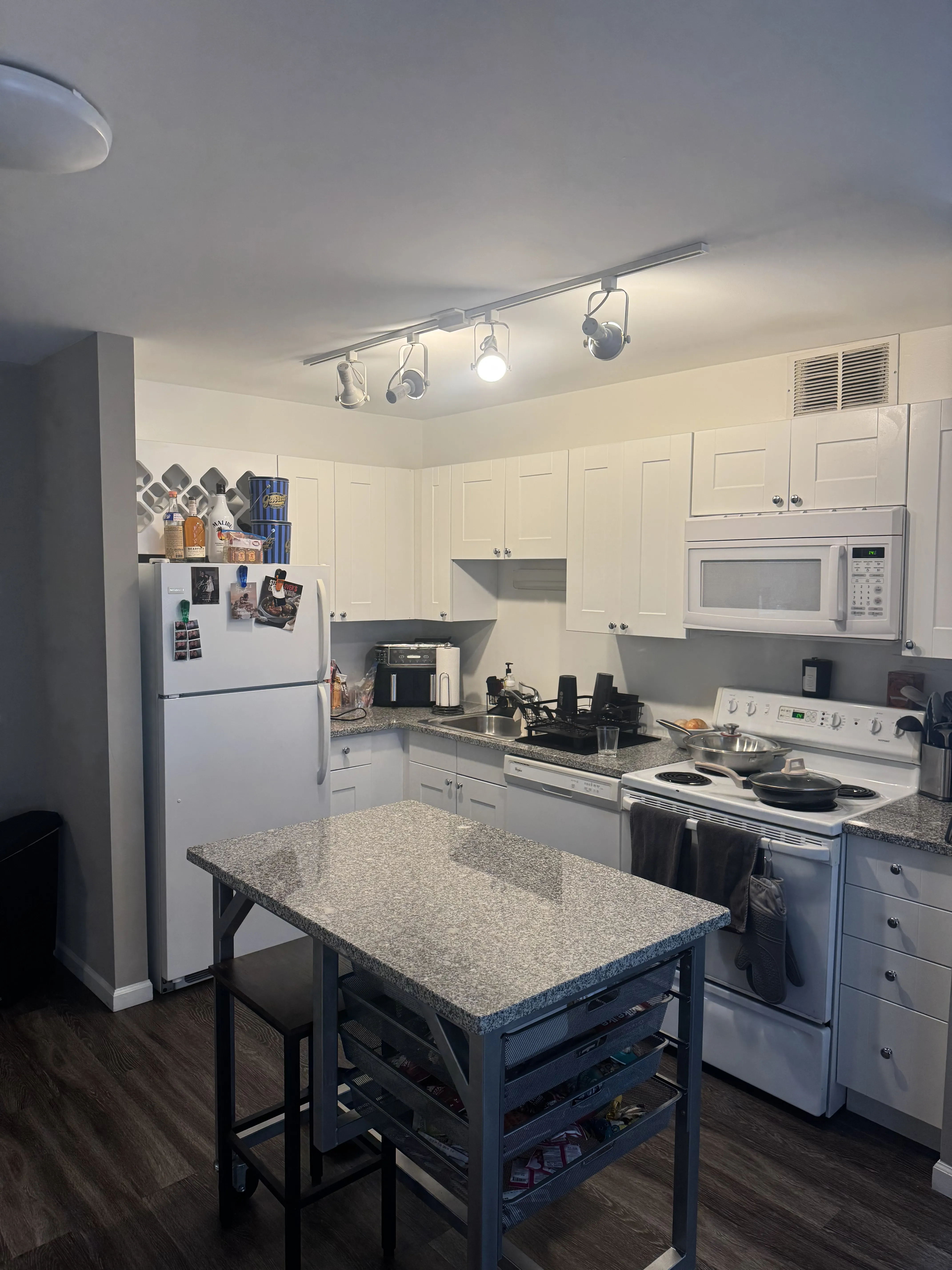 860 N Dewitt Pl   60611 60611-unit#1506-Chicago-IL