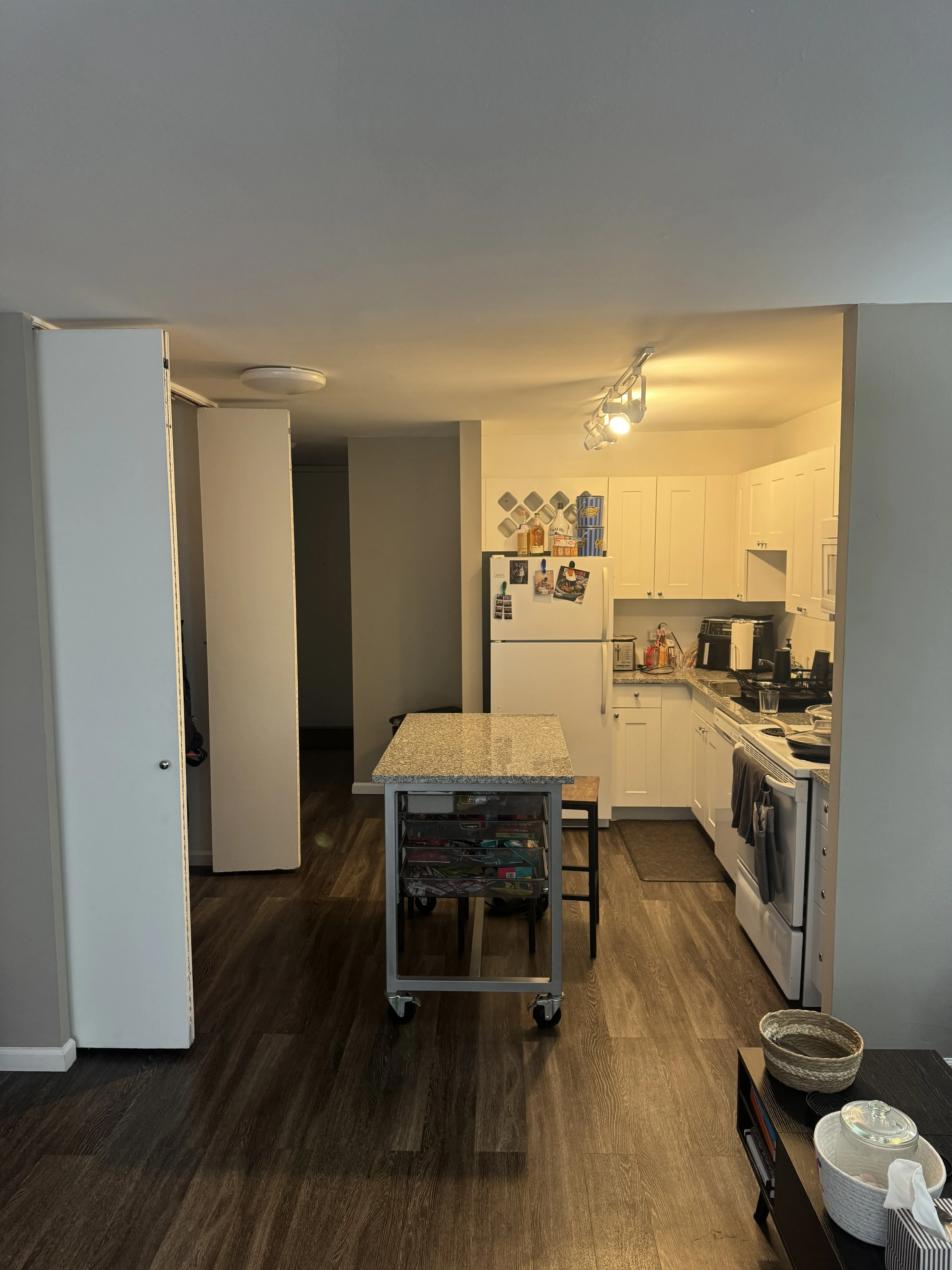 860 N Dewitt Pl   60611 60611-unit#1506-Chicago-IL