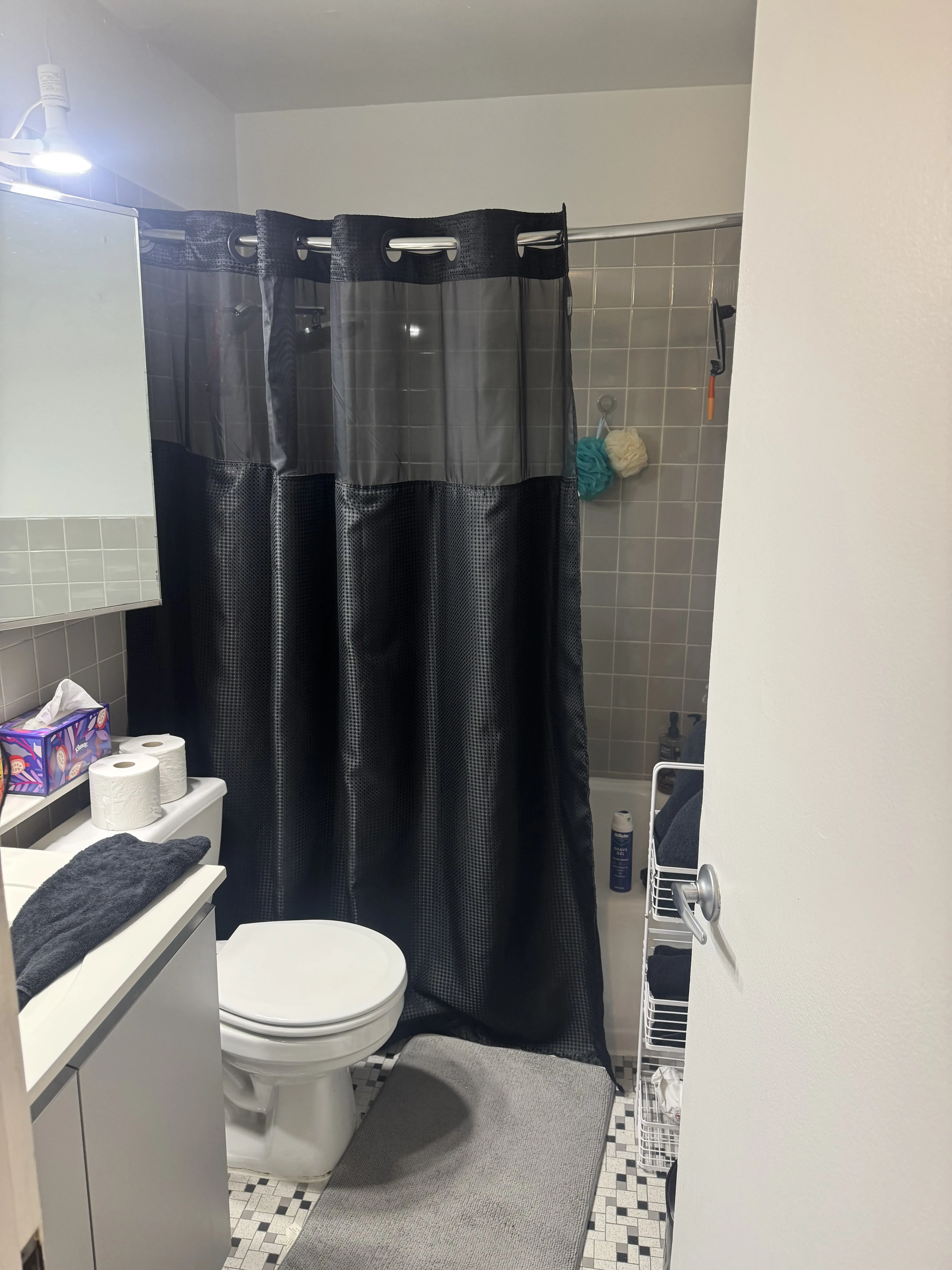 860 N Dewitt Pl   60611 60611-unit#1506-Chicago-IL