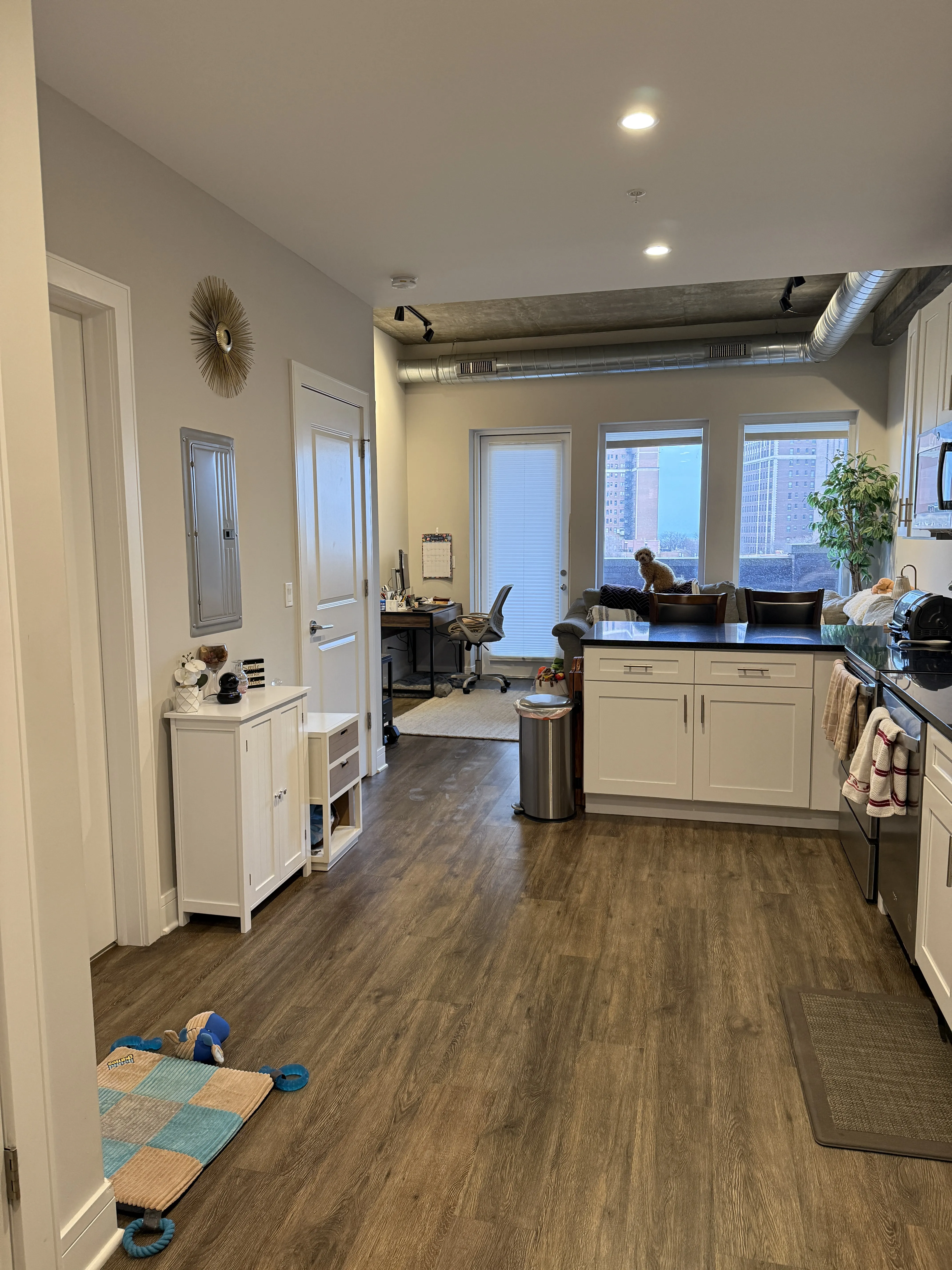 3833 N Broadway 60613 60613-The Eagle -unit#617-Chicago-IL