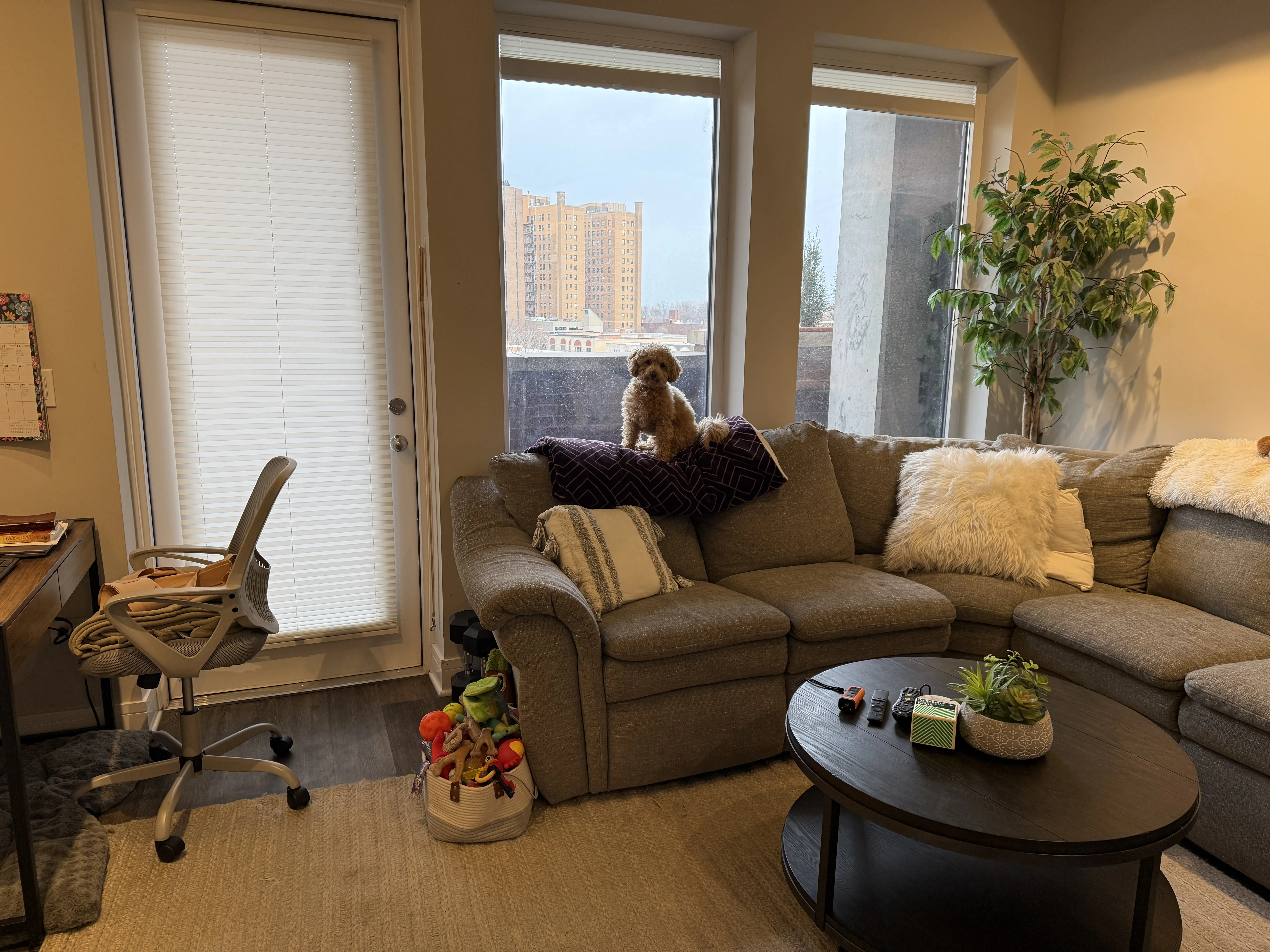 3833 N Broadway 60613 60613-The Eagle -unit#617-Chicago-IL