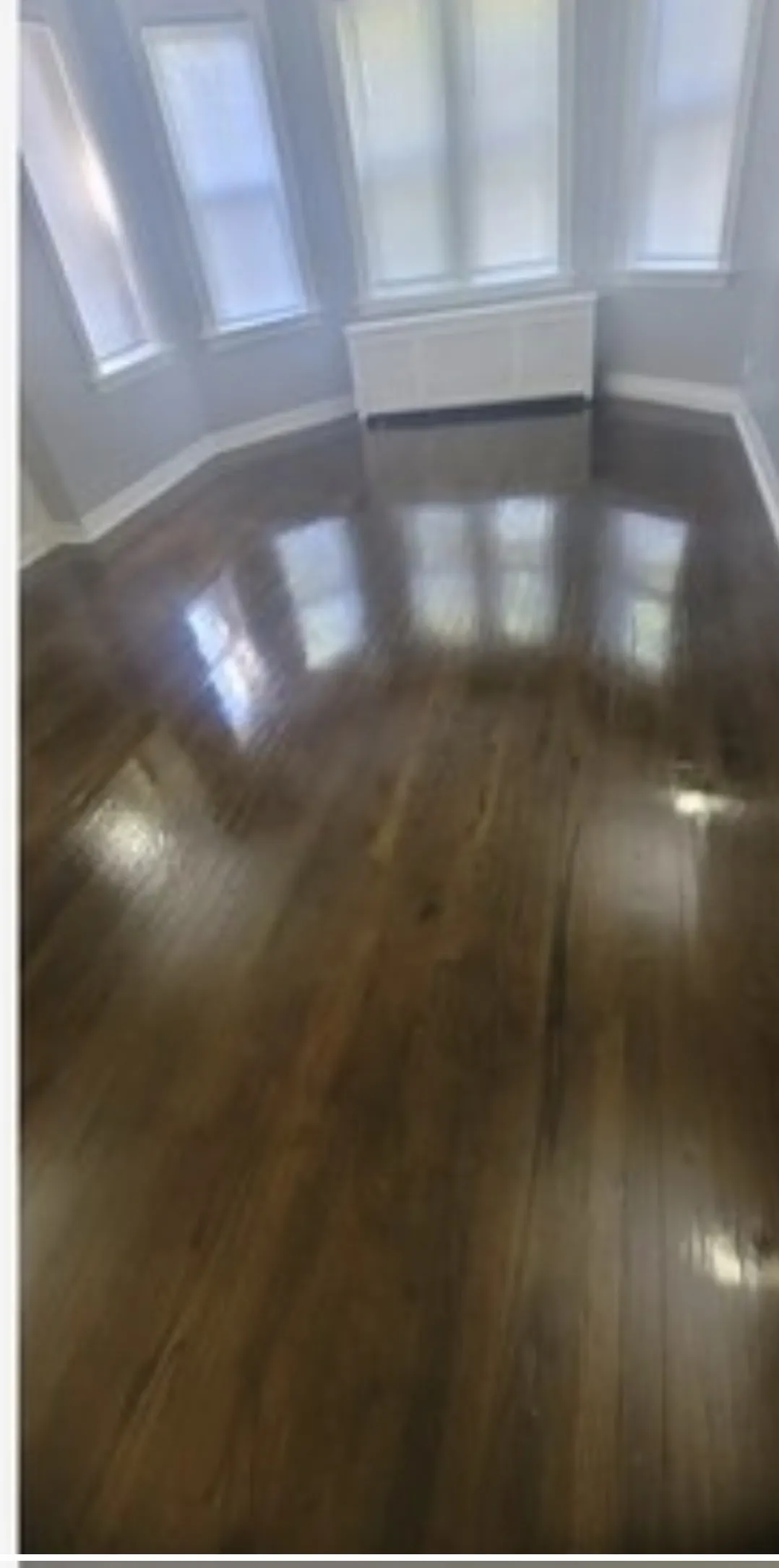 8043 S Maryland Ave 60619 60619-unit#1-Chicago-IL