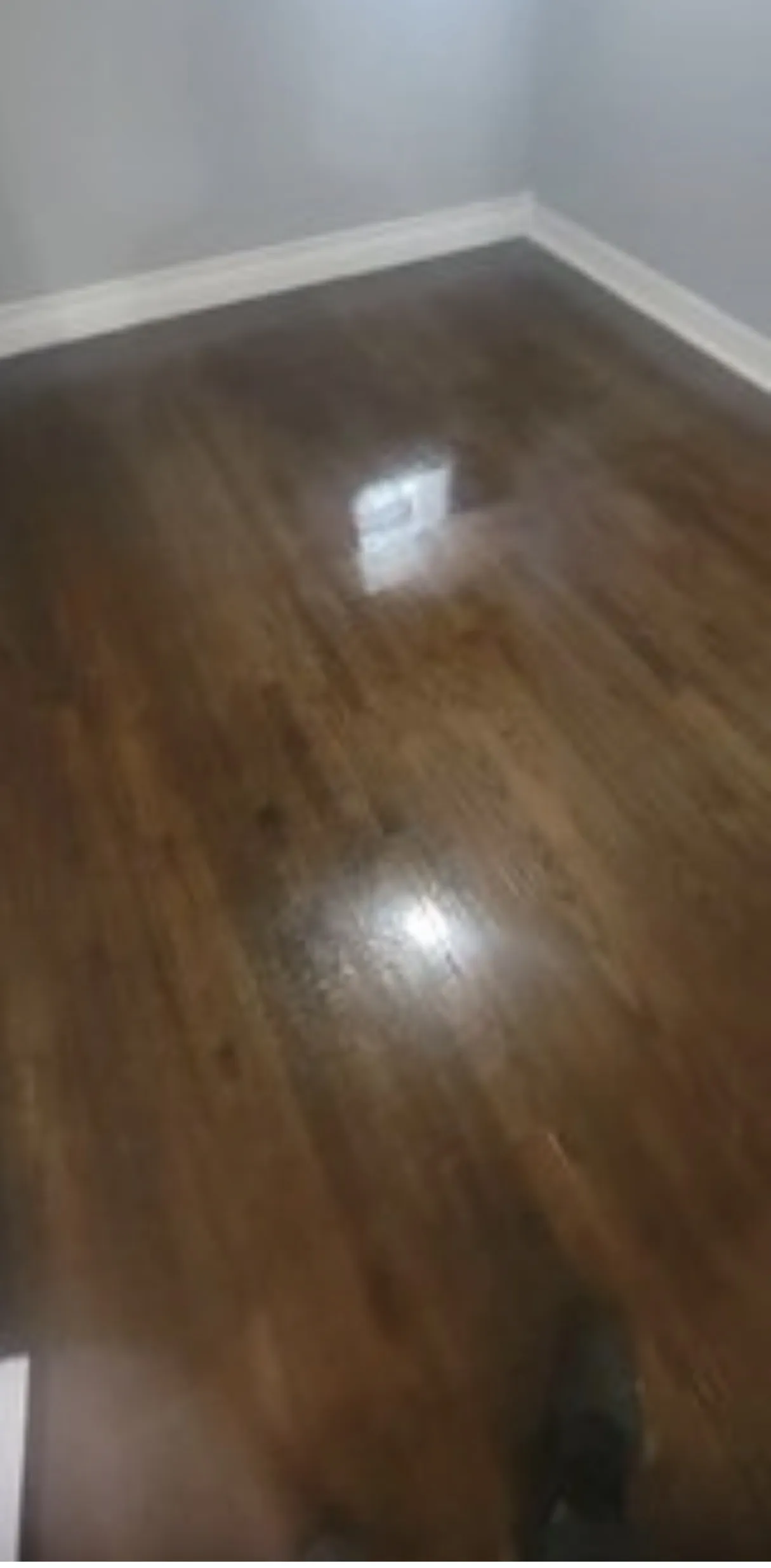 8043 S Maryland Ave 60619 60619-unit#1-Chicago-IL