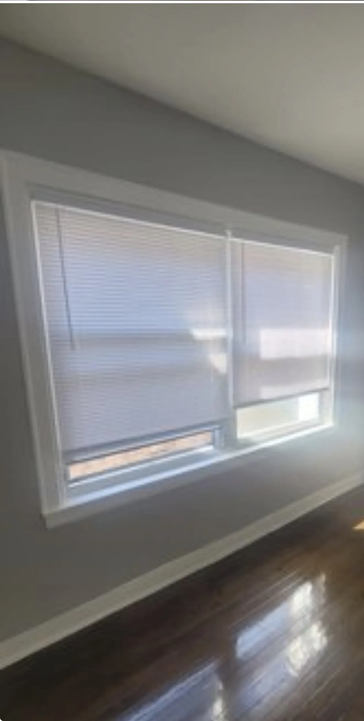 8043 S Maryland Ave 60619 60619-unit#1-Chicago-IL