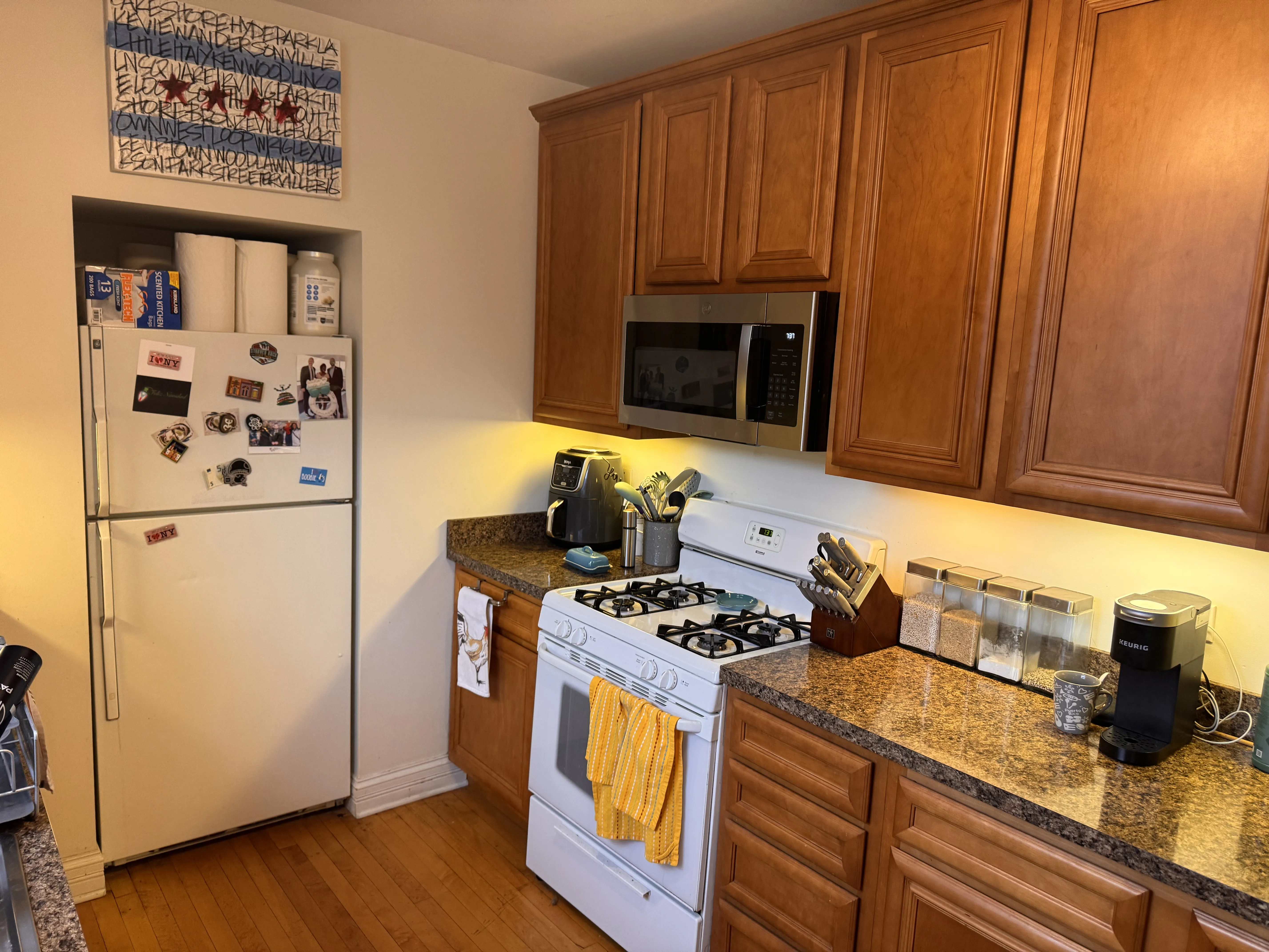 6237 N Lakewood Ave   60660 60660-unit#A1-Chicago-IL