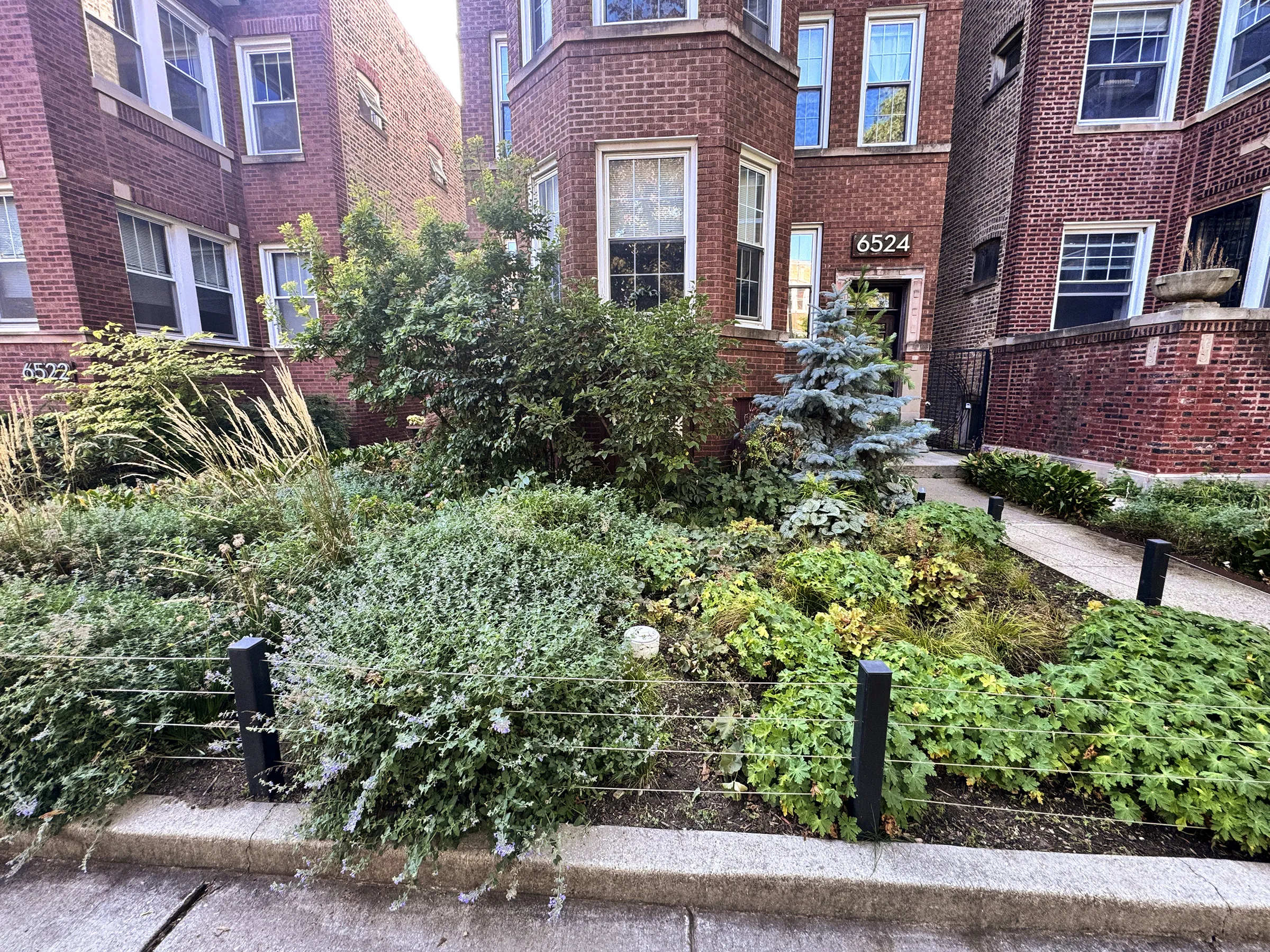 6524 N BOSWORTH AVE 60626-unit#001-Chicago-IL