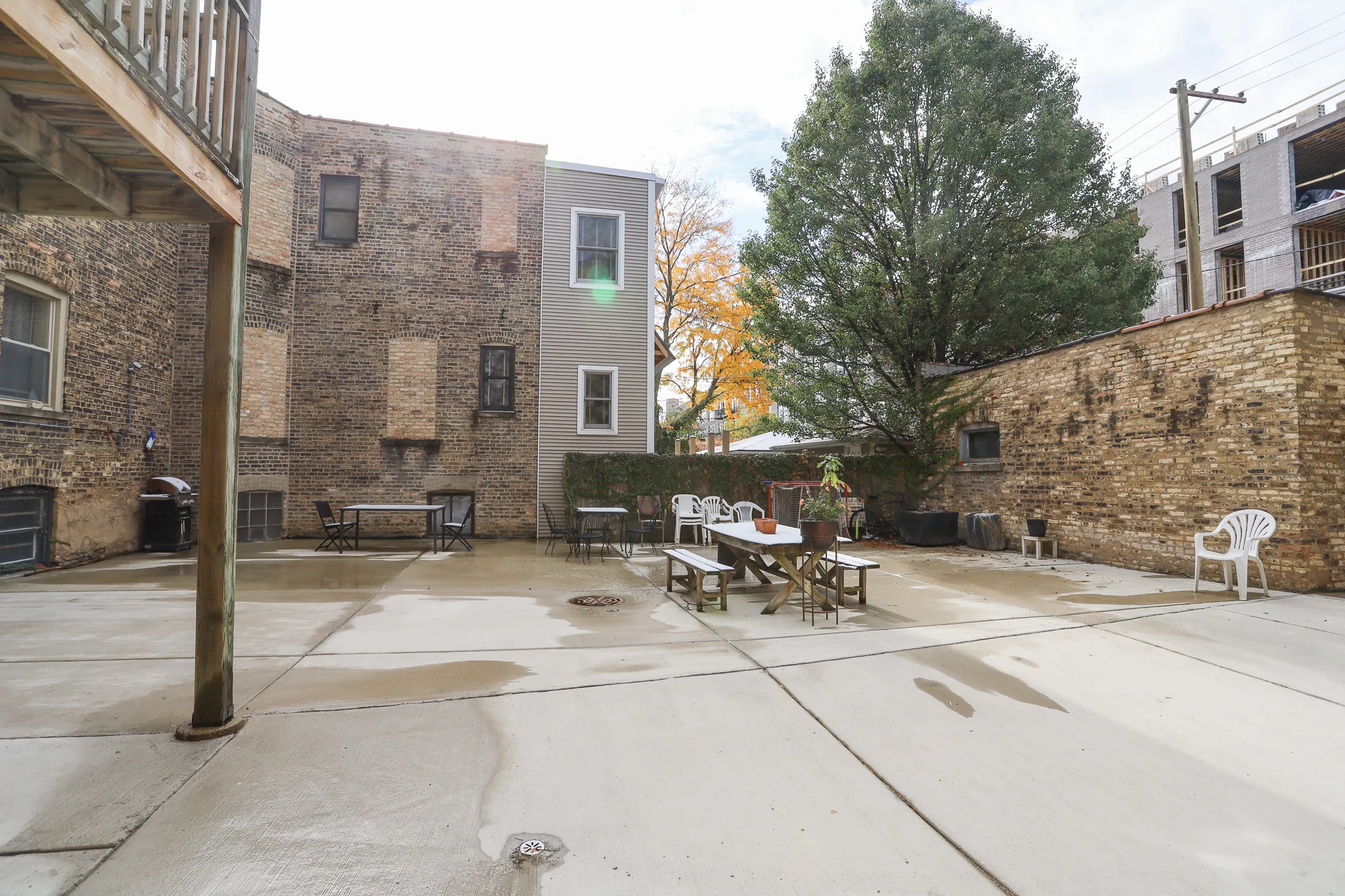 1533 W Cornelia Ave   60657 60657-Cornelia Bosworth-Chicago-IL