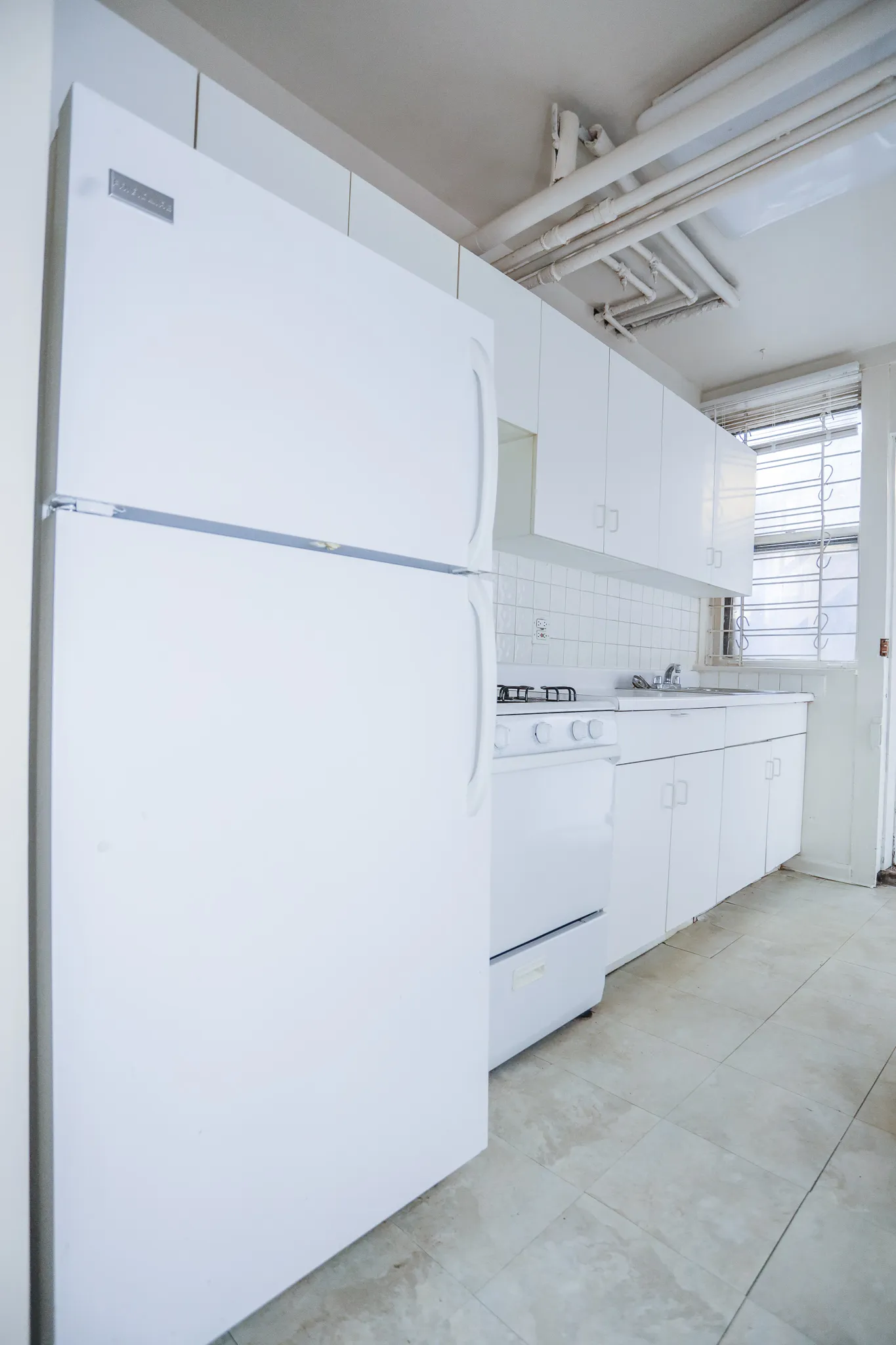 1533 W Cornelia Ave   60657 60657-Cornelia Bosworth-Chicago-IL