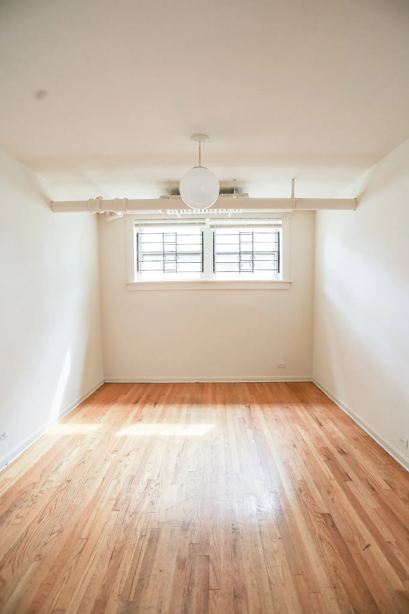 1533 W Cornelia Ave 60657 60657-Cornelia Bosworth-Chicago-IL