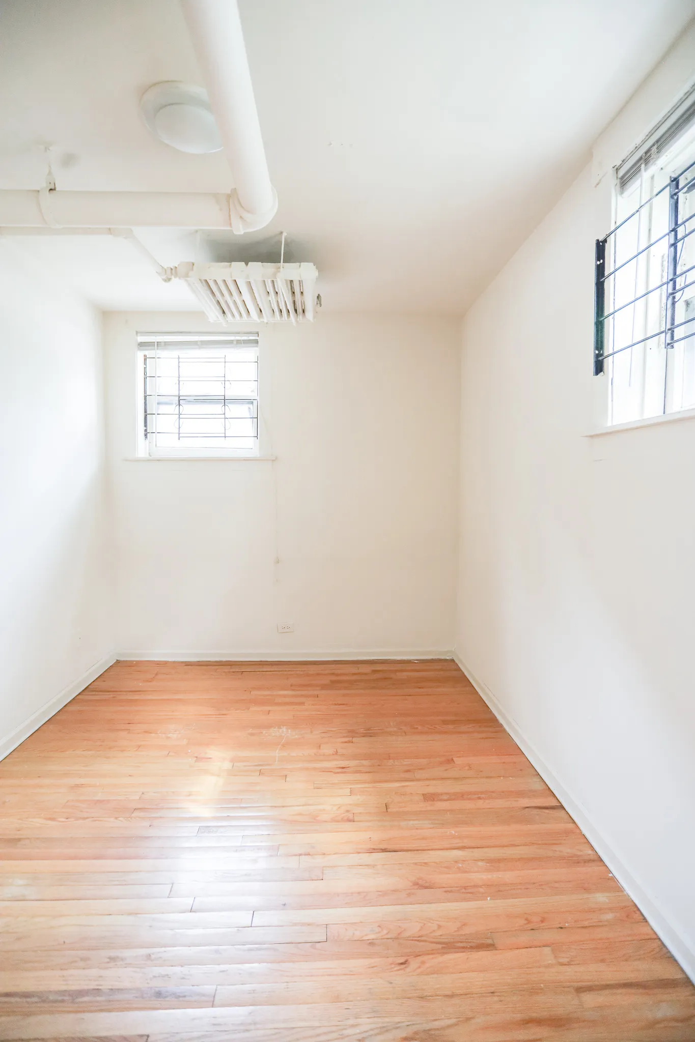 1533 W Cornelia Ave   60657 60657-Cornelia Bosworth-Chicago-IL