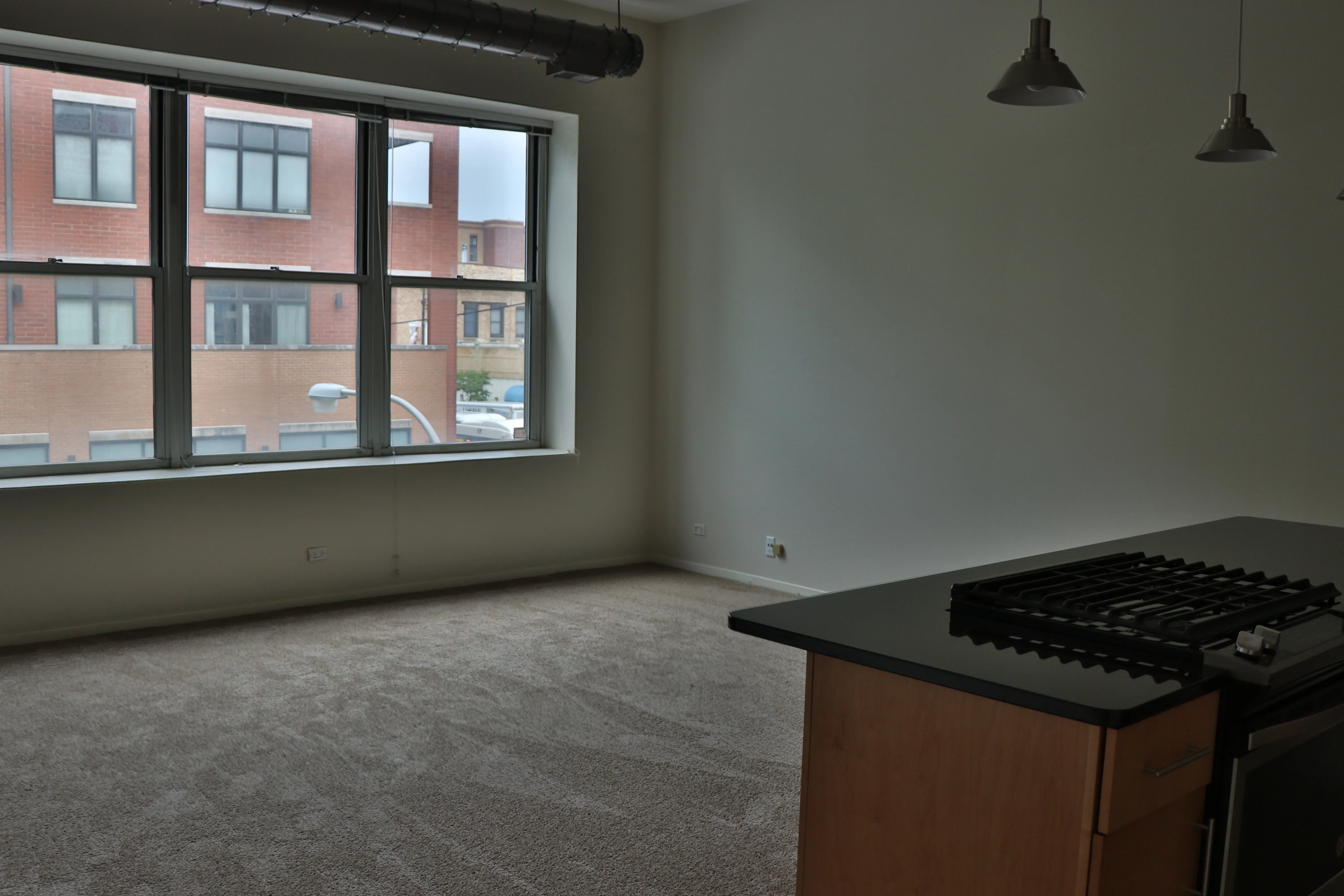 3159 N Seminary Ave 60657 60657-Seminary Lofts-unit#207-Chicago-IL