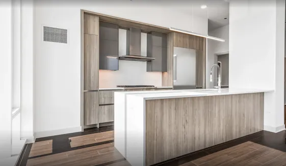 313 W Wolf Point Plaza   60654 60654-unit#611-Chicago-IL