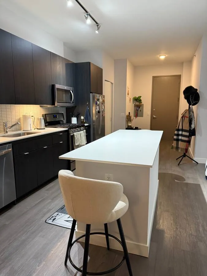 1000 South Clark Apt 1803 60605-1000 South Clark-unit#1803-Chicago-IL