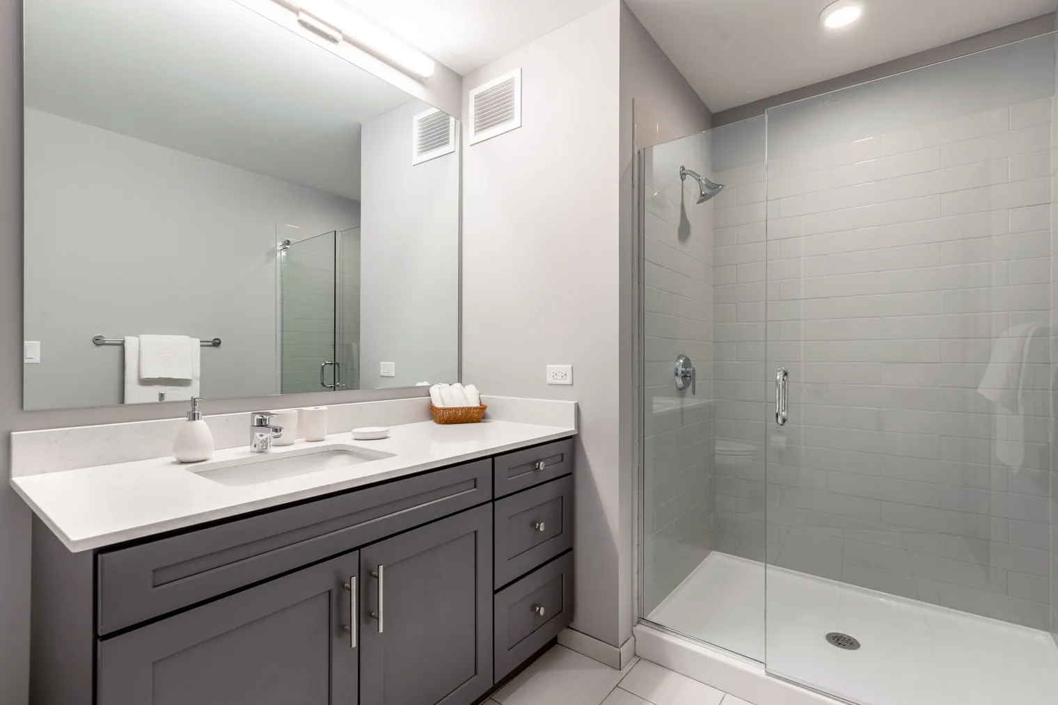 450 W Belmont Ave   60657 60657-Four50-unit#ID203-Chicago-IL