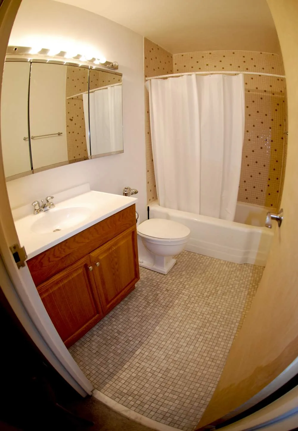 535 N MICHIGAN AVE 60611-Michigan Avenue Condos-unit#1107-Chicago-IL