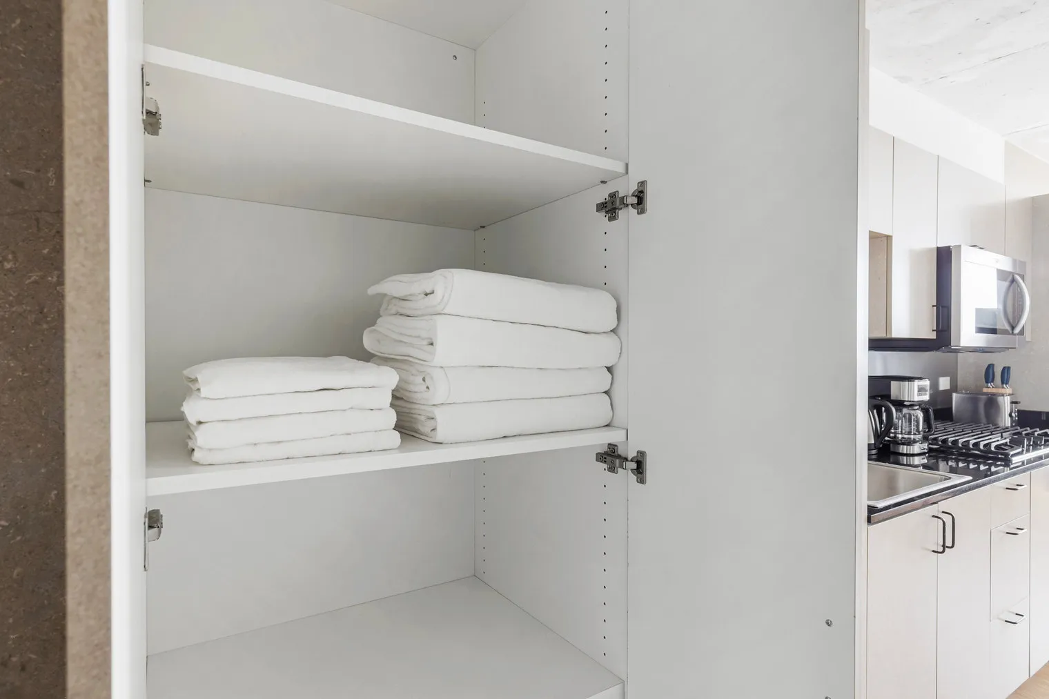 1515 N Fremont St   60642 60642-SoNu Digs-unit#ID1282-Chicago-IL