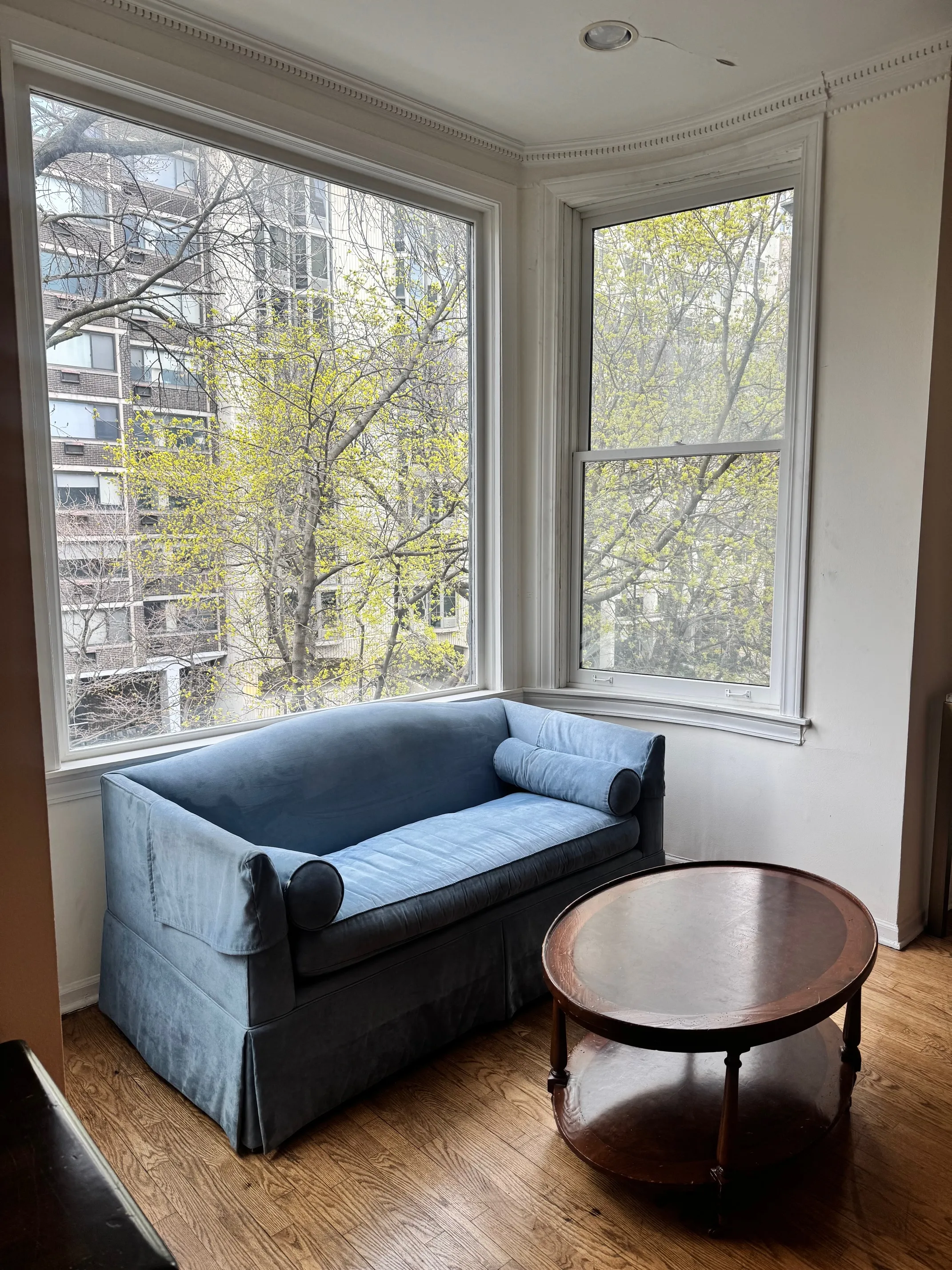 1329 N DEARBORN PKWY 60610-unit#3-Chicago-IL