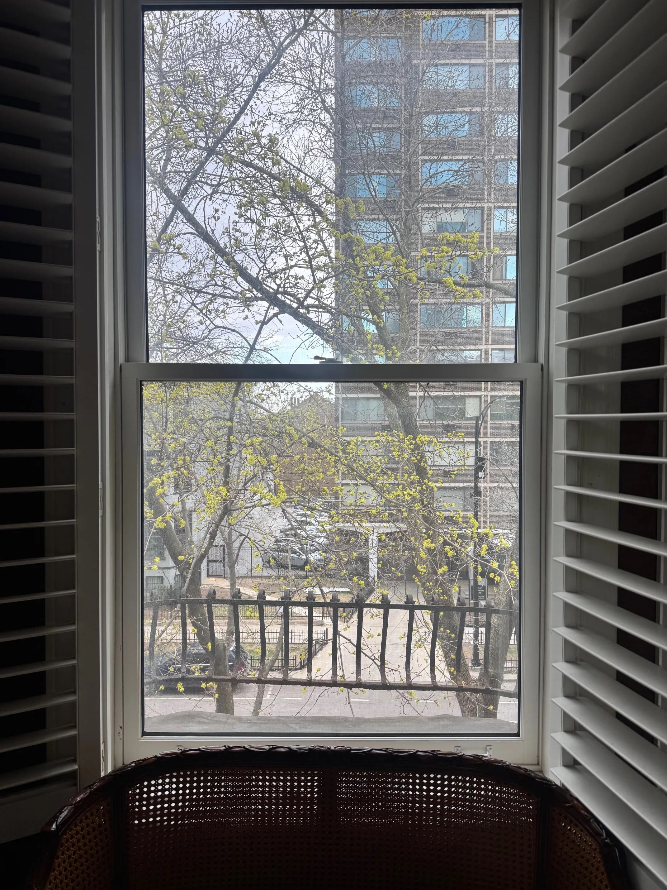 1329 N DEARBORN PKWY 60610-unit#3-Chicago-IL