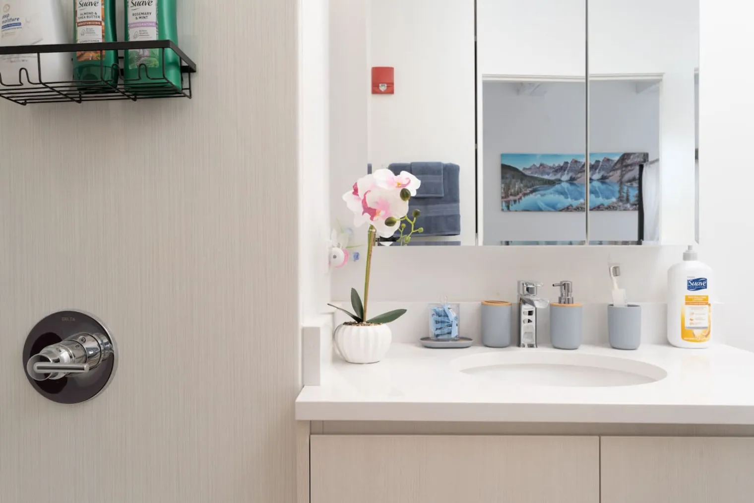 1049 W Lawrence Ave   60640 60640-Building West Lawrence Avenue - titboventuresllc-unit#ID1060825P-Chicago-IL