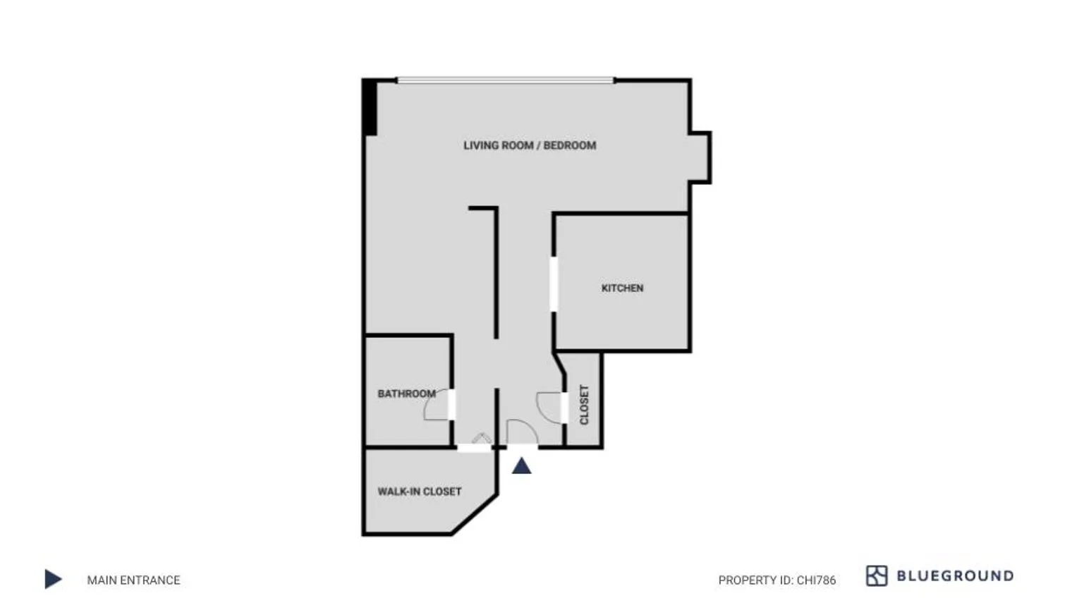 445 E Ohio St   60611 60611-Lake Shore Plaza-unit#ID786-Chicago-IL