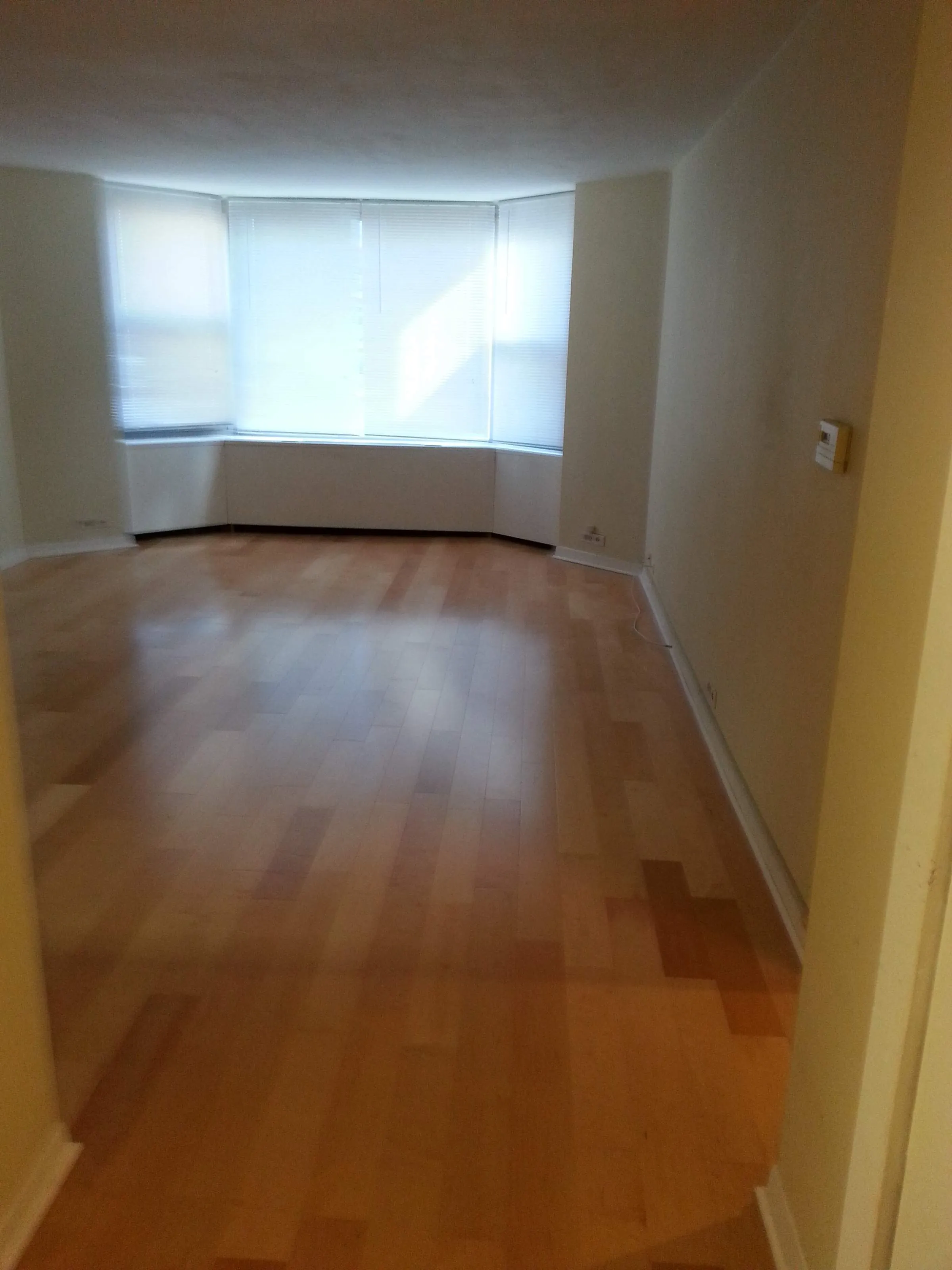 535 N MICHIGAN AVE 60611-Michigan Avenue Condos-unit#1107-Chicago-IL