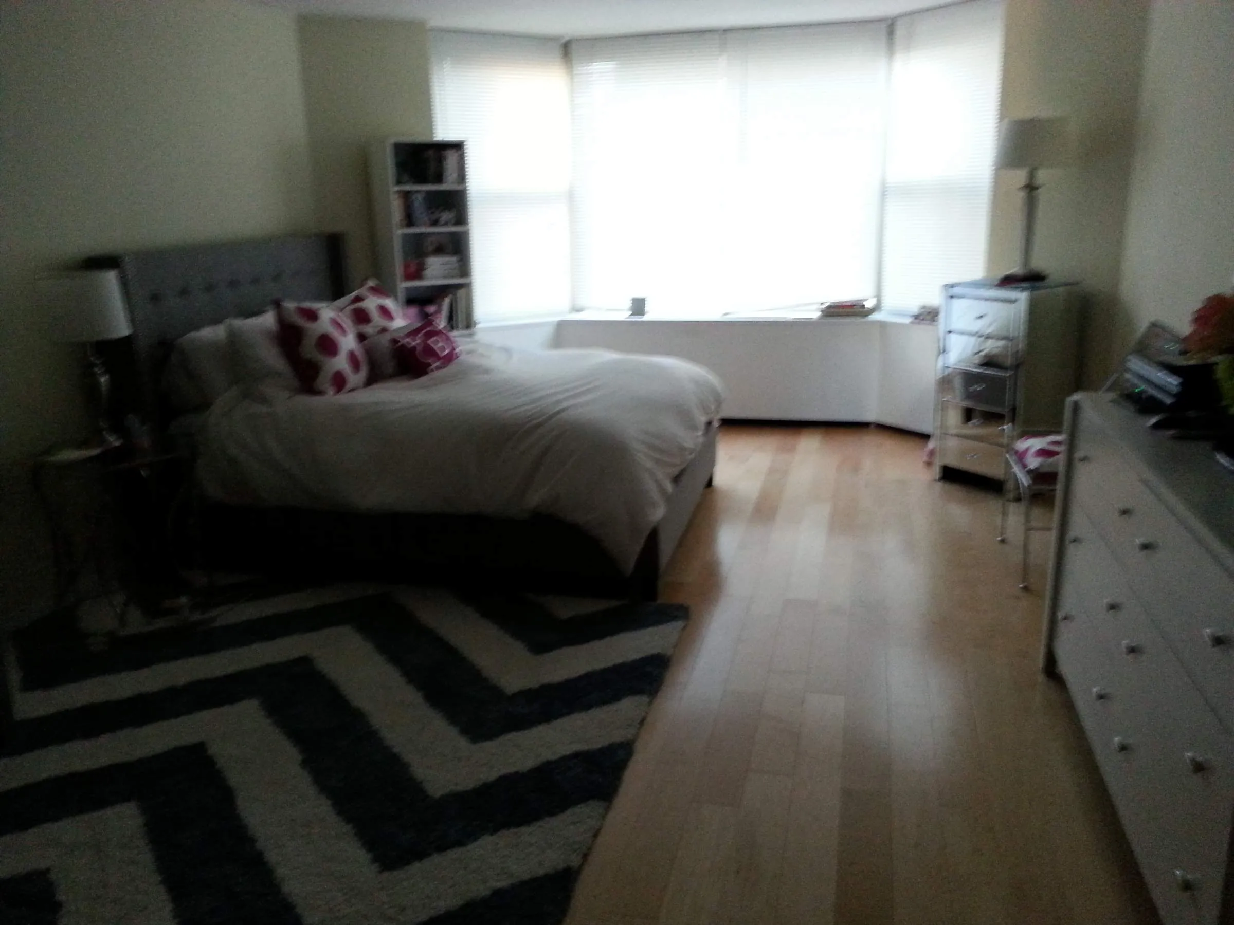 535 N MICHIGAN AVE 60611-Michigan Avenue Condos-unit#1107-Chicago-IL