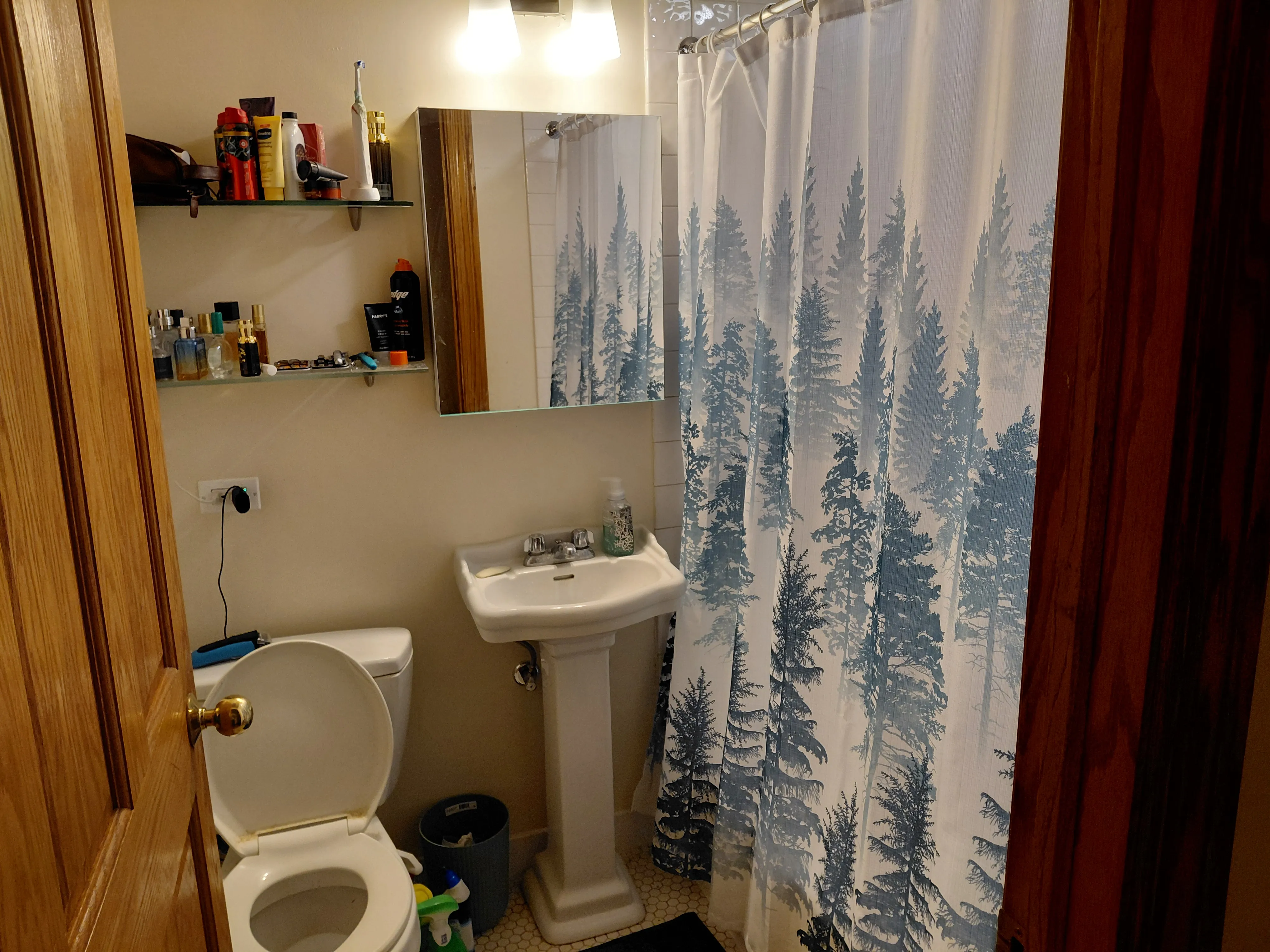 3211 W Belle Plaine Ave   60618 60618-unit#G-Chicago-IL