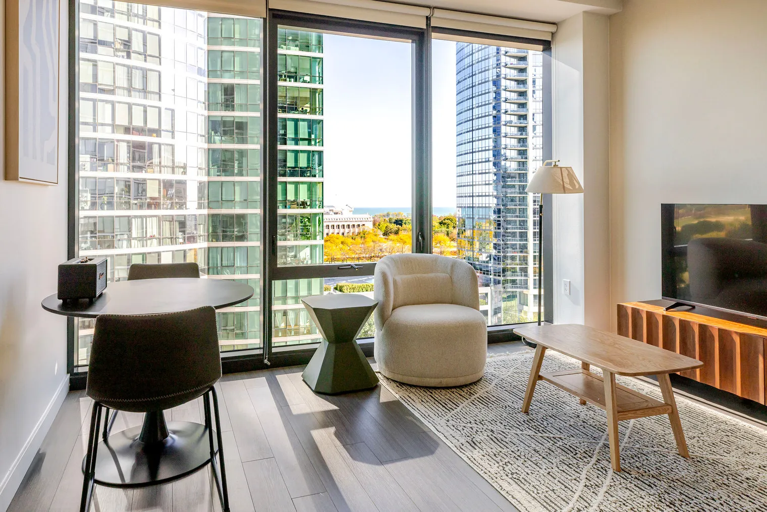 1210 S Indiana Ave   60605 60605-NEMA-unit#ID1317-Chicago-IL