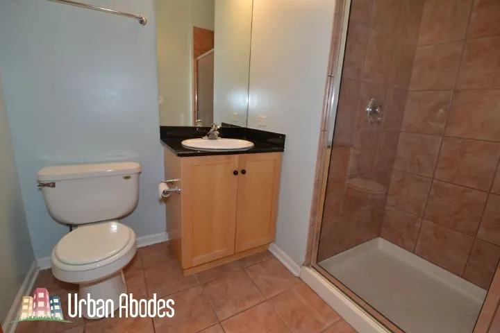 1743 W North Ave   60622 60622-unit#4-Chicago-IL