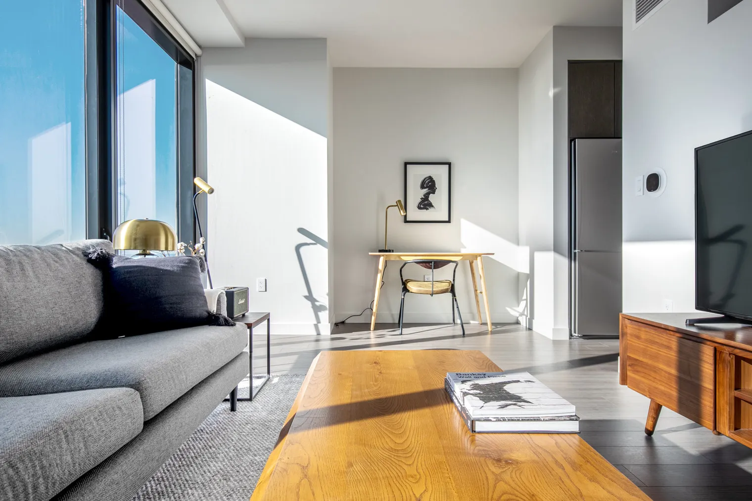 1210 S Indiana Ave 60605 60605-NEMA-unit#ID345-Chicago-IL