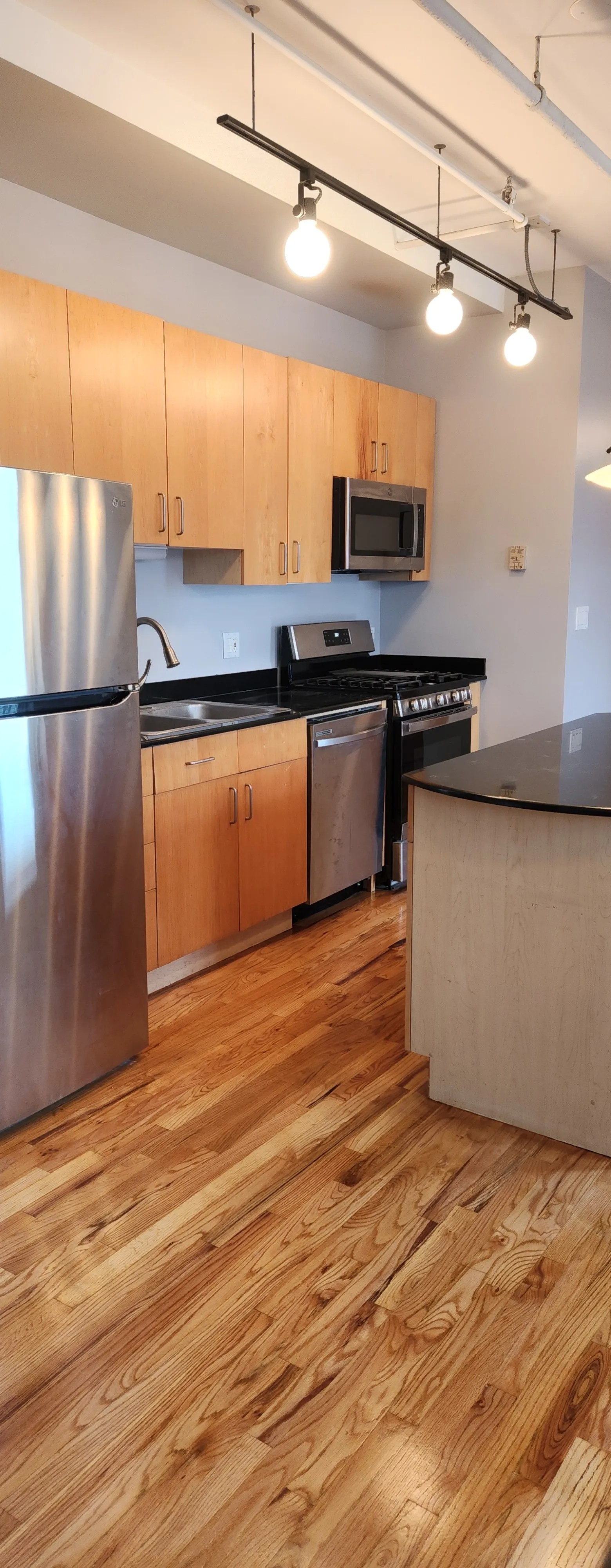 420 S Clinton St 60607 60607-Gotham Lofts-unit#604-Chicago-IL