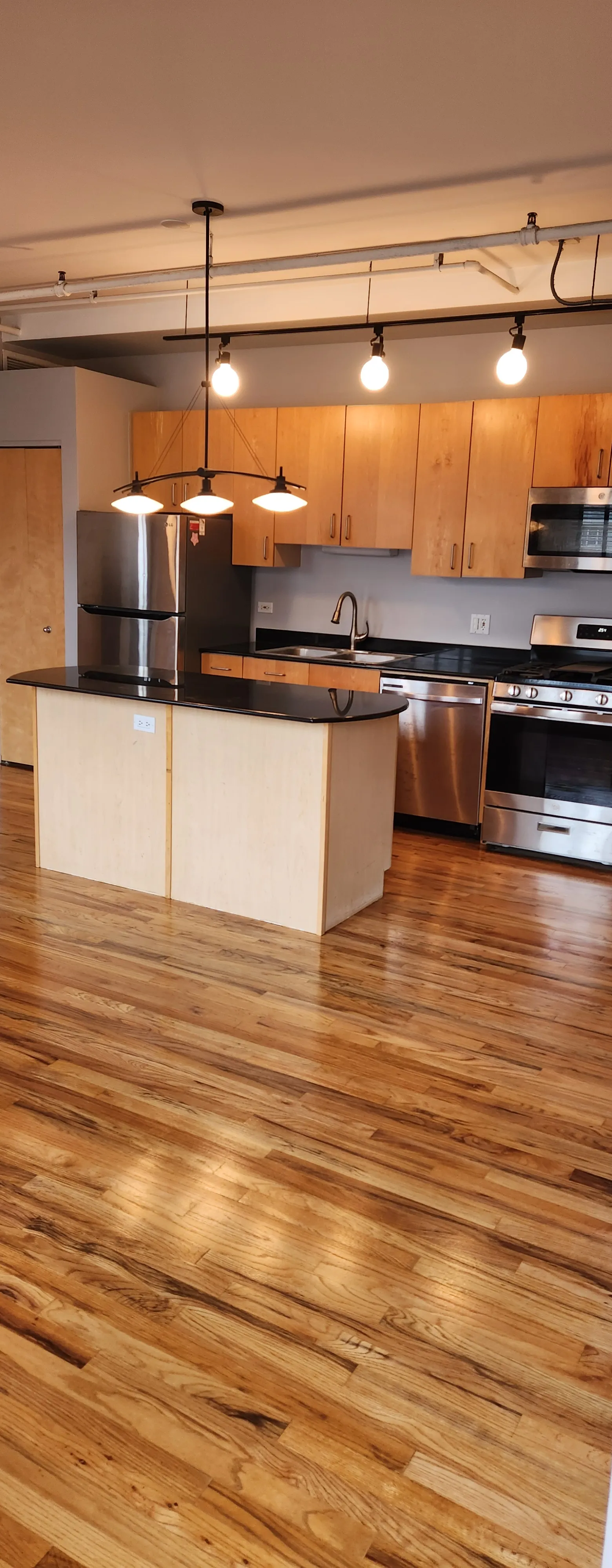 420 S Clinton St 60607 60607-Gotham Lofts-unit#604-Chicago-IL