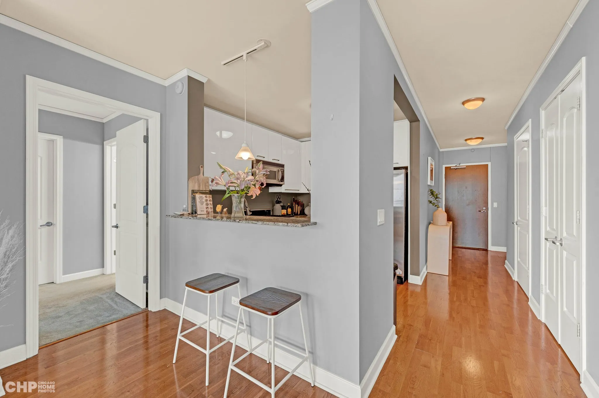 450 E Waterside Dr   60601 60601-The Chandler-unit#1511-Chicago-IL