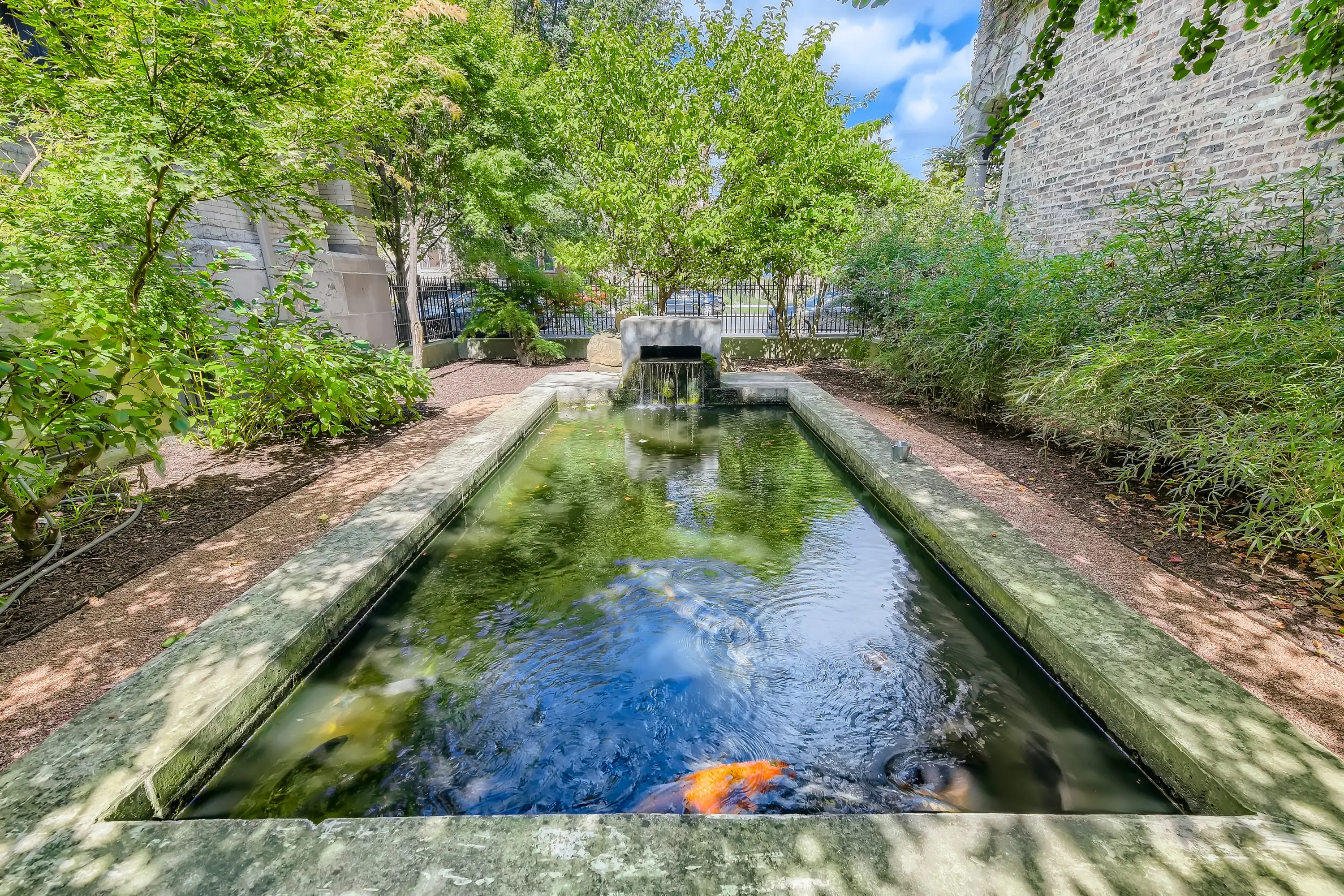 2943 W Washington Blvd   60612 60612-unit#6-Chicago-IL