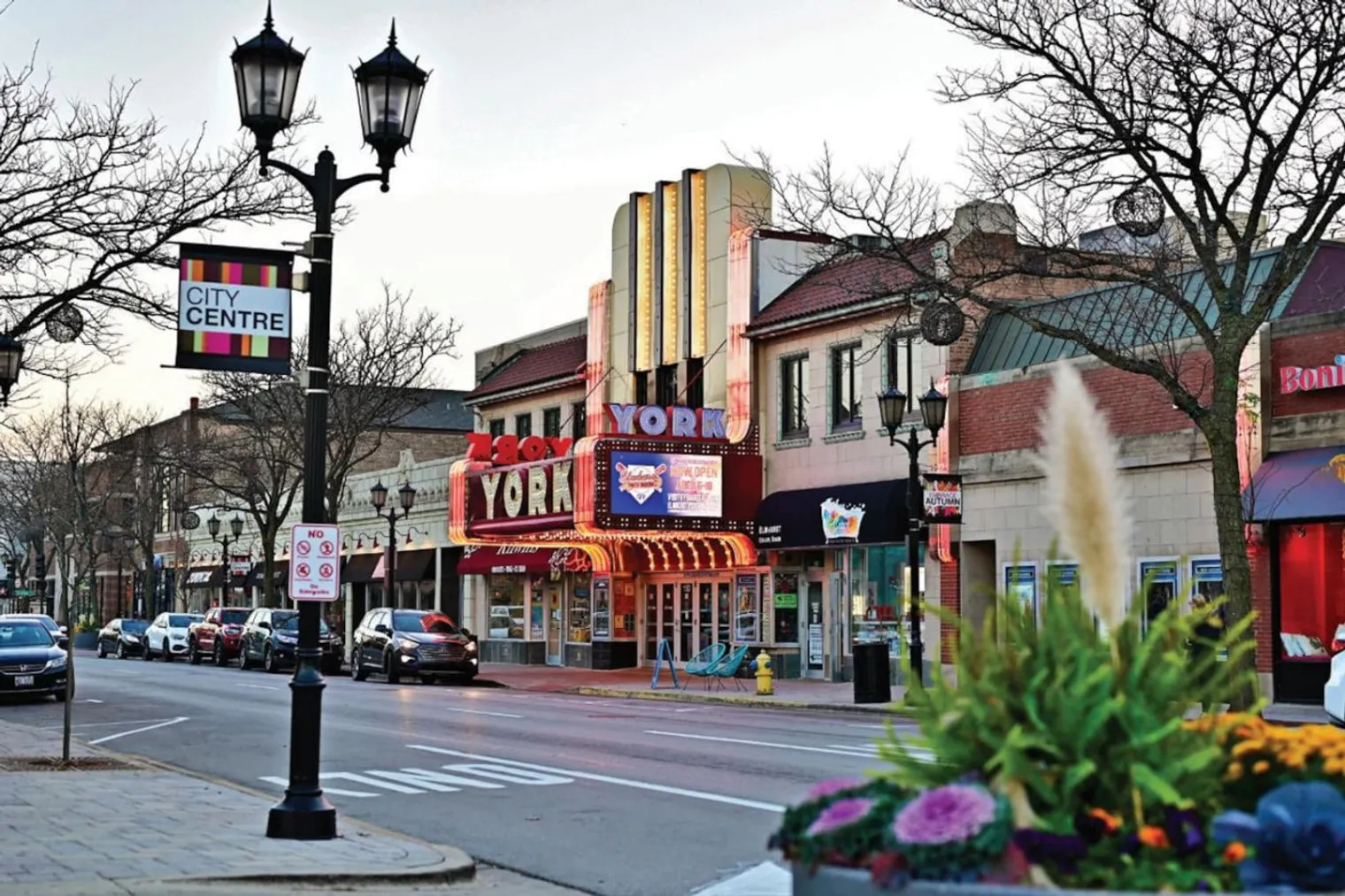 255 N Addison Ave   60126 60126-Building North Addison Avenue - house-of-living21-unit#ID1366993P-Elmhurst-IL