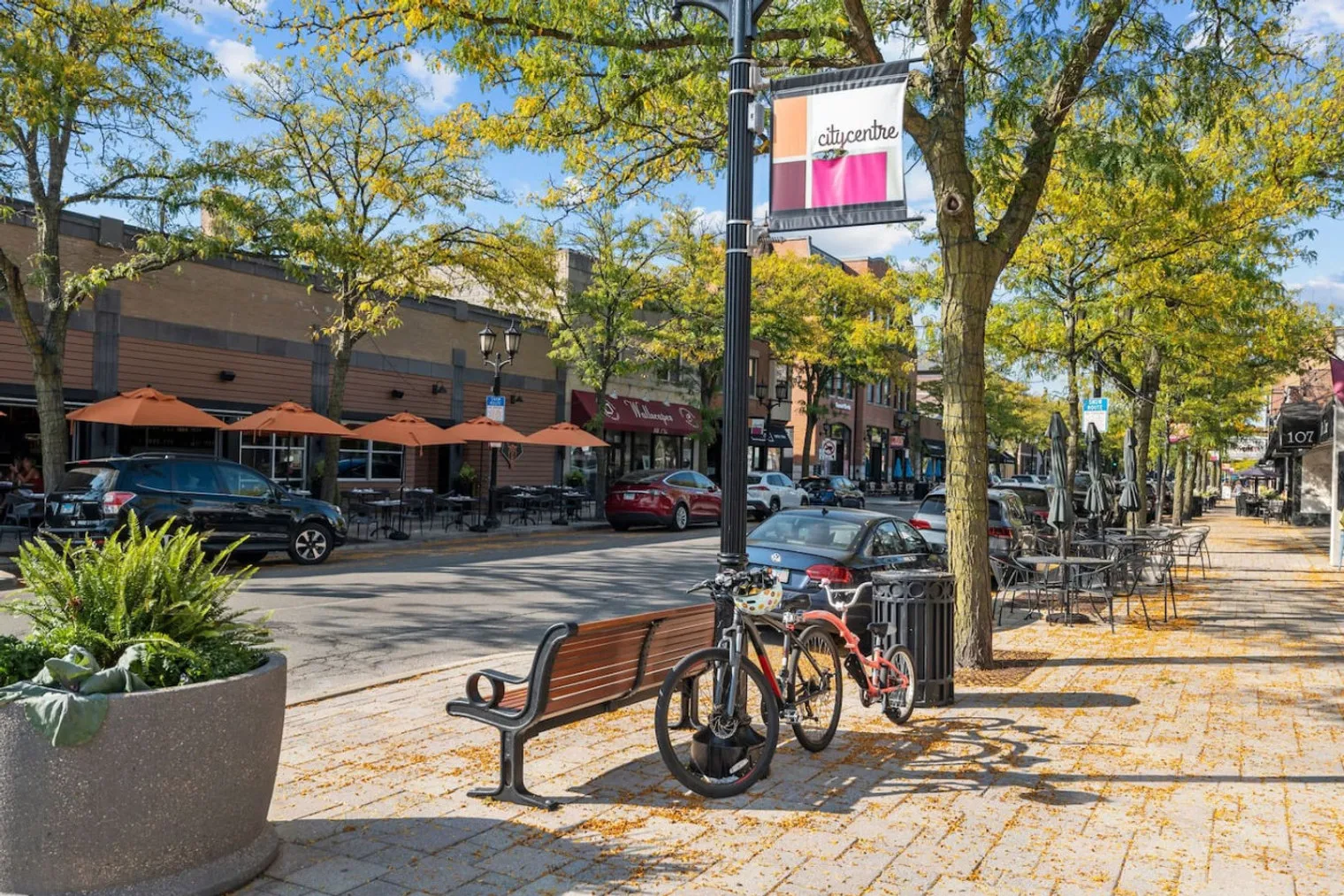 255 N Addison Ave   60126 60126-Building North Addison Avenue - house-of-living21-unit#ID1366994P-Elmhurst-IL