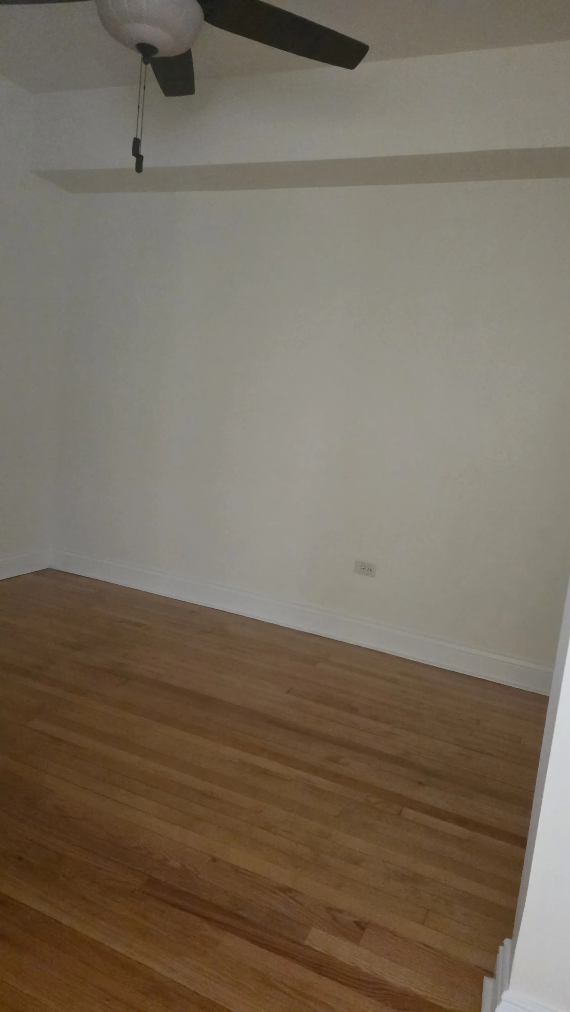 1639 W Foster Ave 60640 60640-unit#3-Chicago-IL