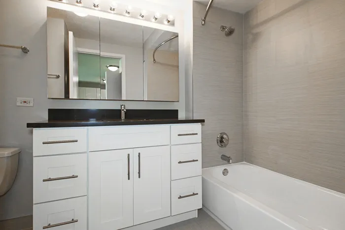 540 N Dearborn St   60610 60610-unit#1311-Chicago-IL